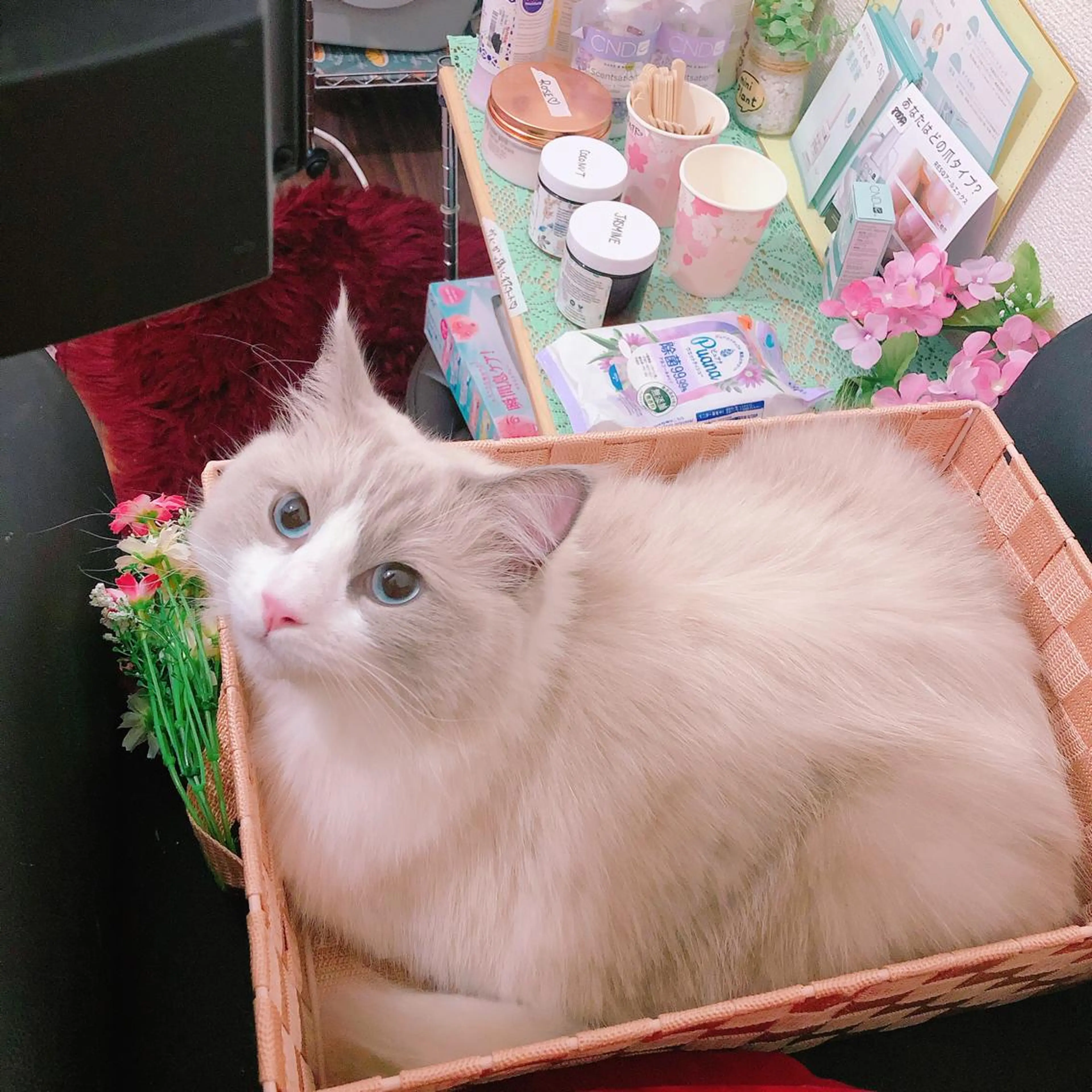 ネイル USAMiMi 🐰💕のネイルデザイン