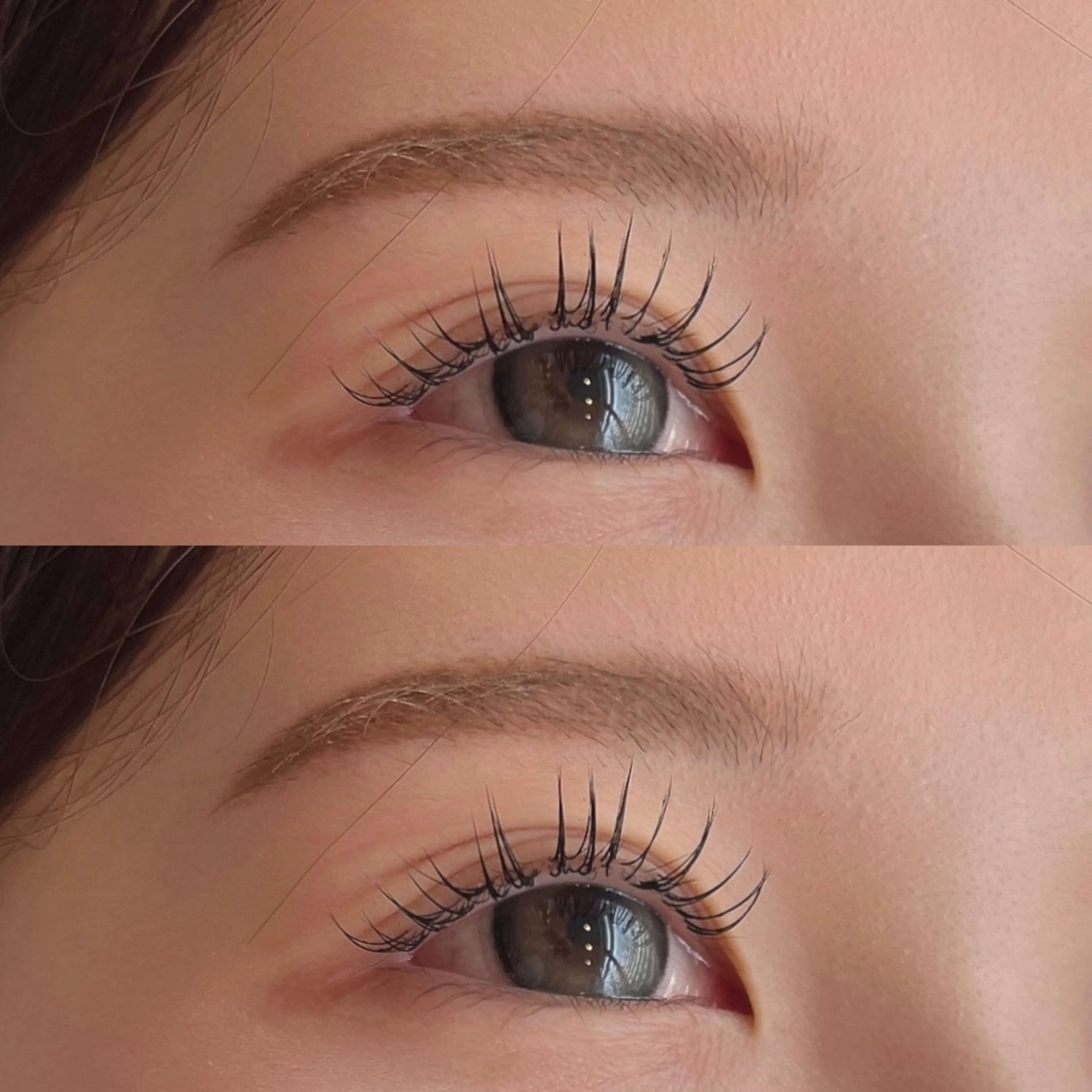 《12月限定クリスマスメニュー》🎄マツエク🎅上100本までつけ放題（オフ･コーティング込み）＋アイブロウ+アイSPの写真