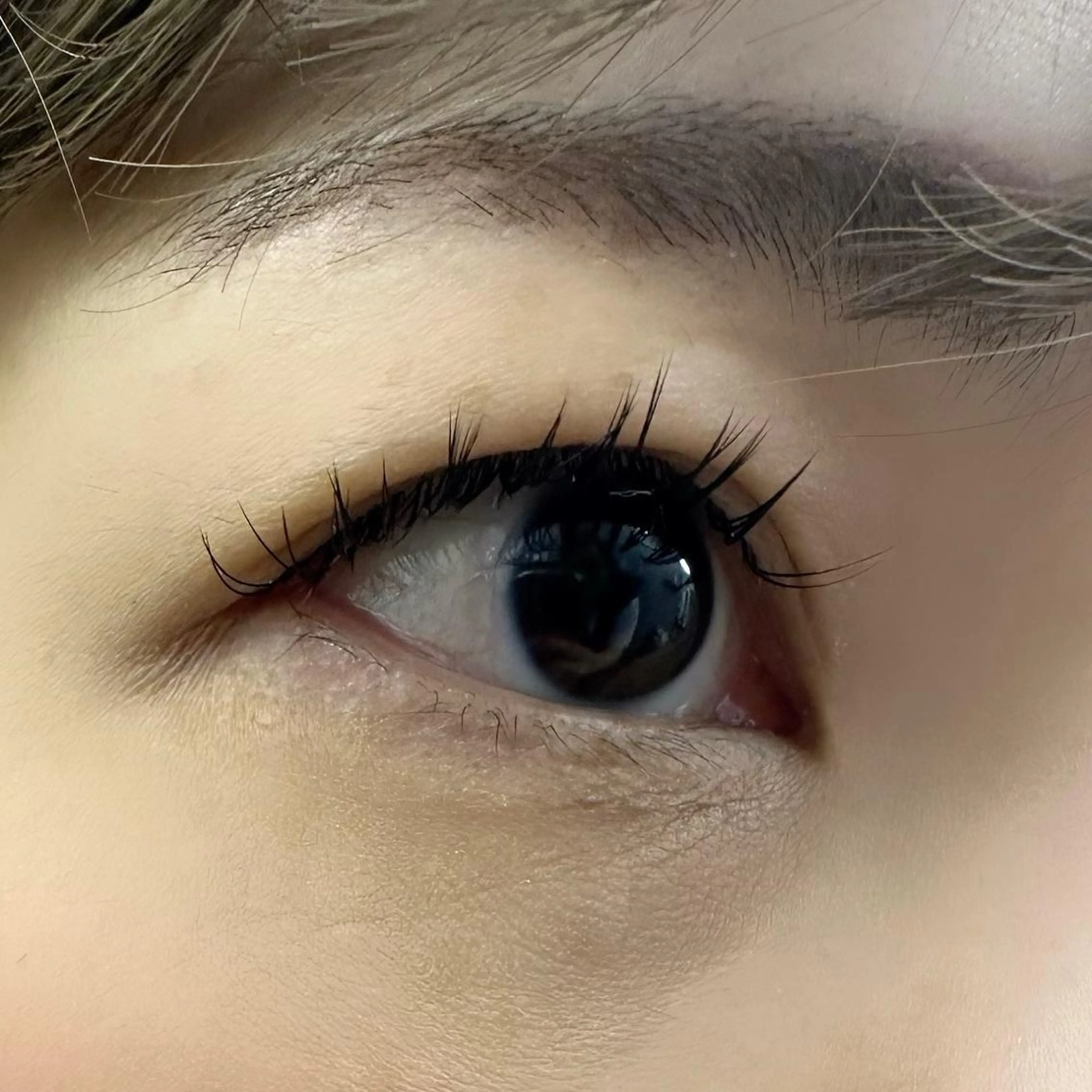 マツエク・マツパ Dカール Miyu🦄ash メンズカット/まつげのヘアスタイル