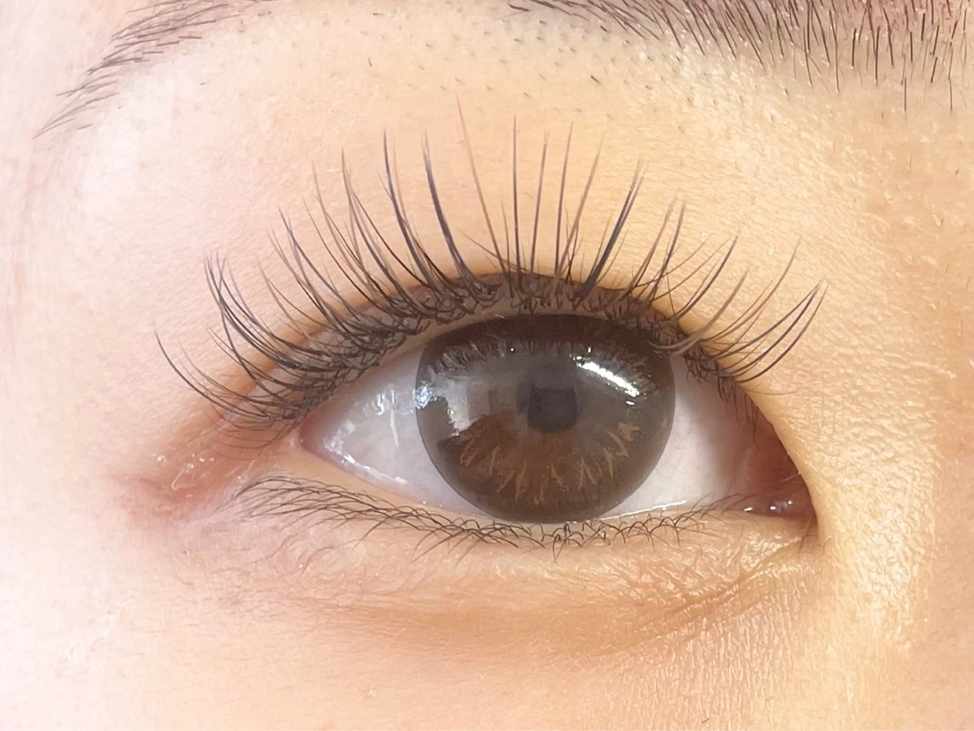 マツエク・マツパ フラットラッシュ パリジェンヌラッシュリフト マツエク 中村彩香 (エフドゥ)のマツエク・マツパデザイン