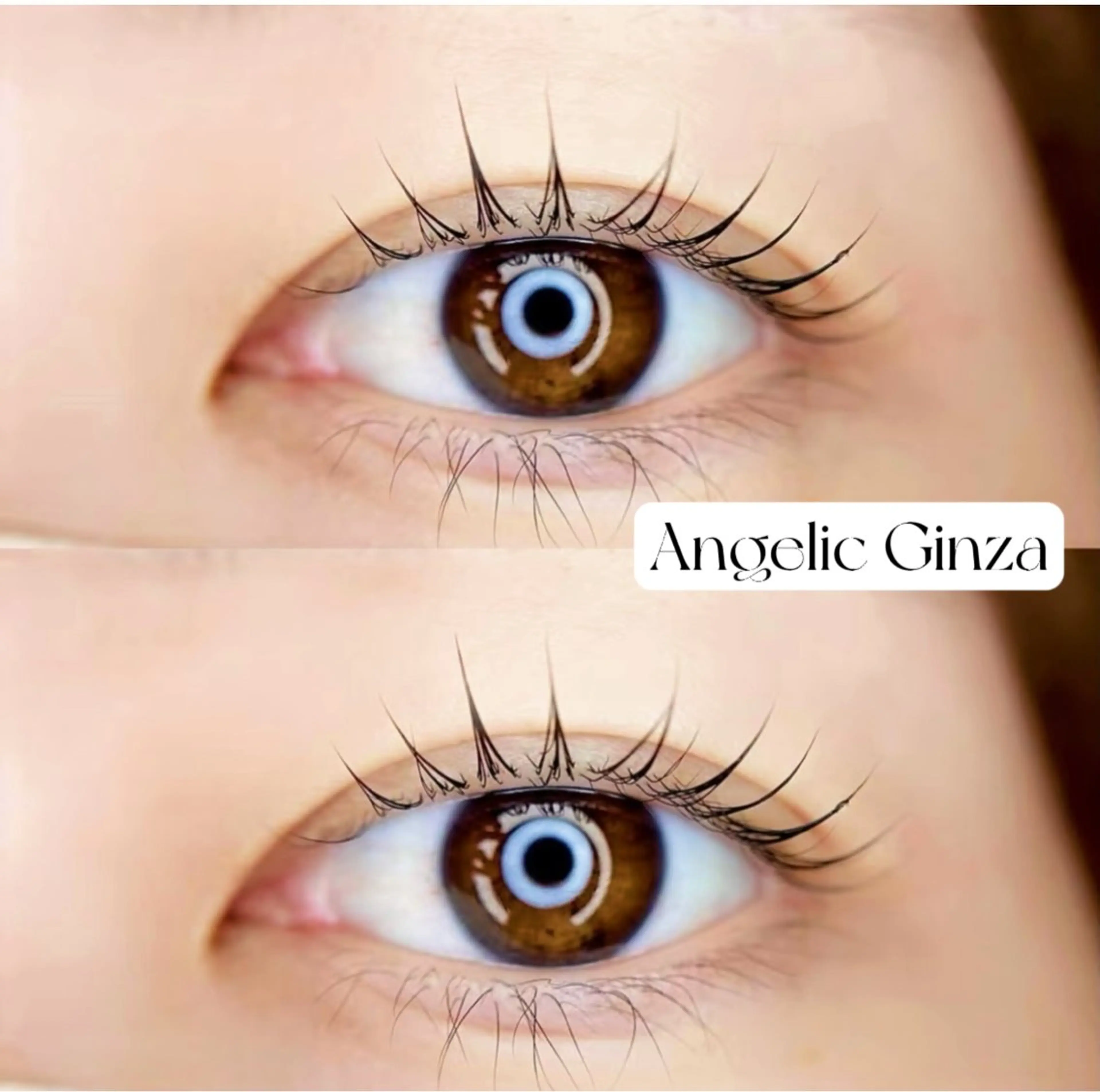 マツエク・マツパ マツパ Angelic Hira ♥🧸のマツエク・マツパデザイン