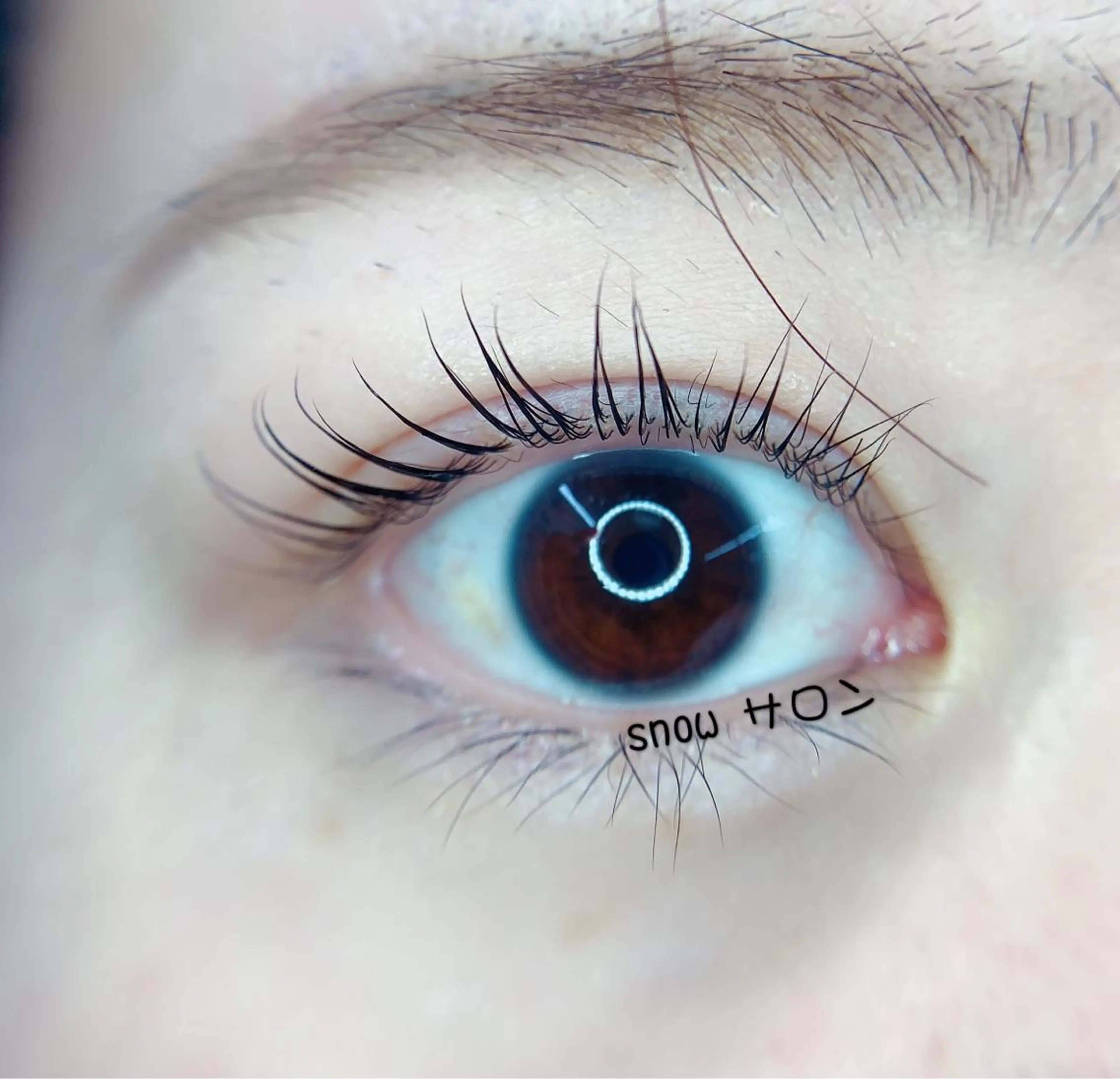 マツエク・マツパ パリジェンヌラッシュリフト foisalon 新宿西口店のマツエク・マツパデザイン