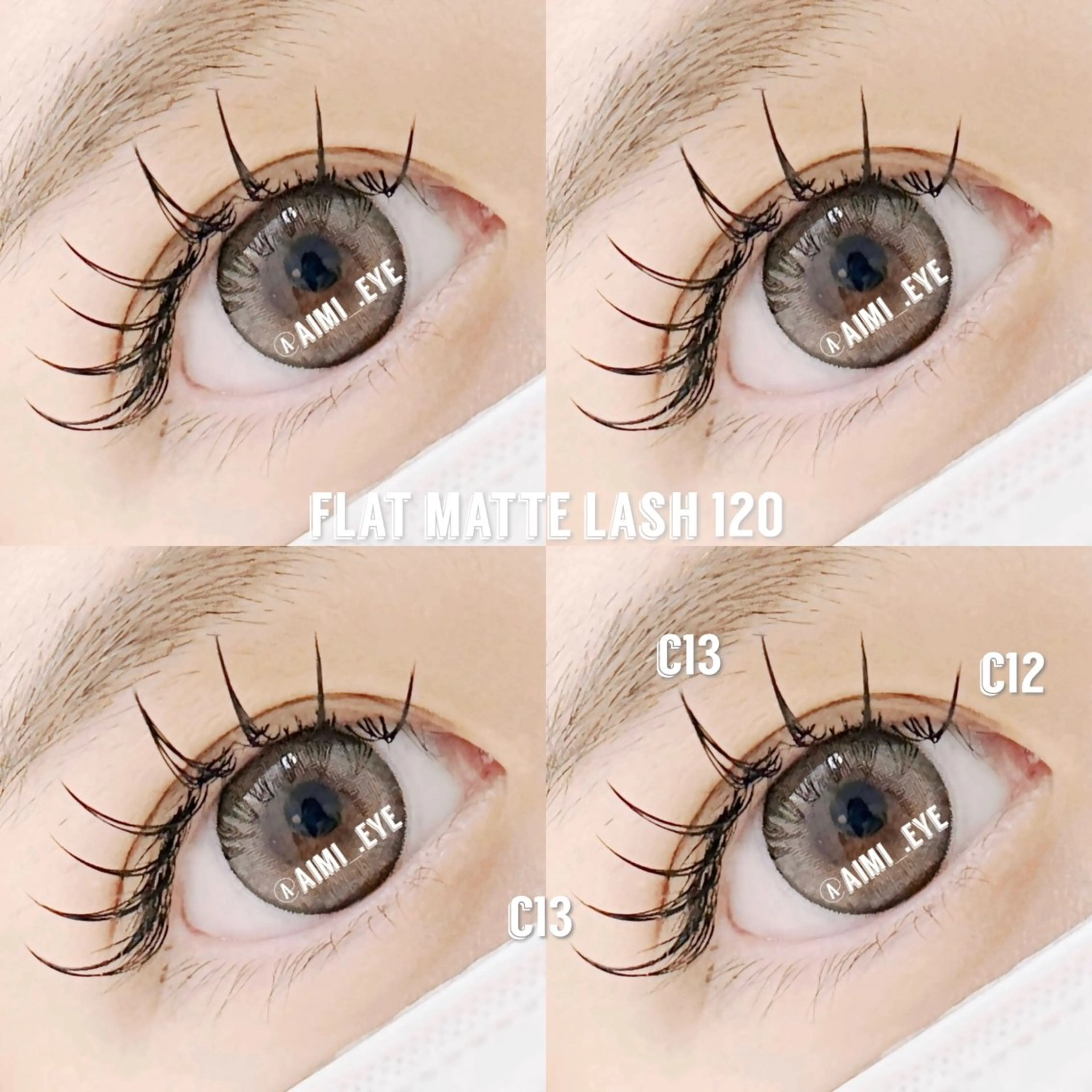 【ご新規様限定✨】🦕フラットマットラッシュ【100本まで】の写真