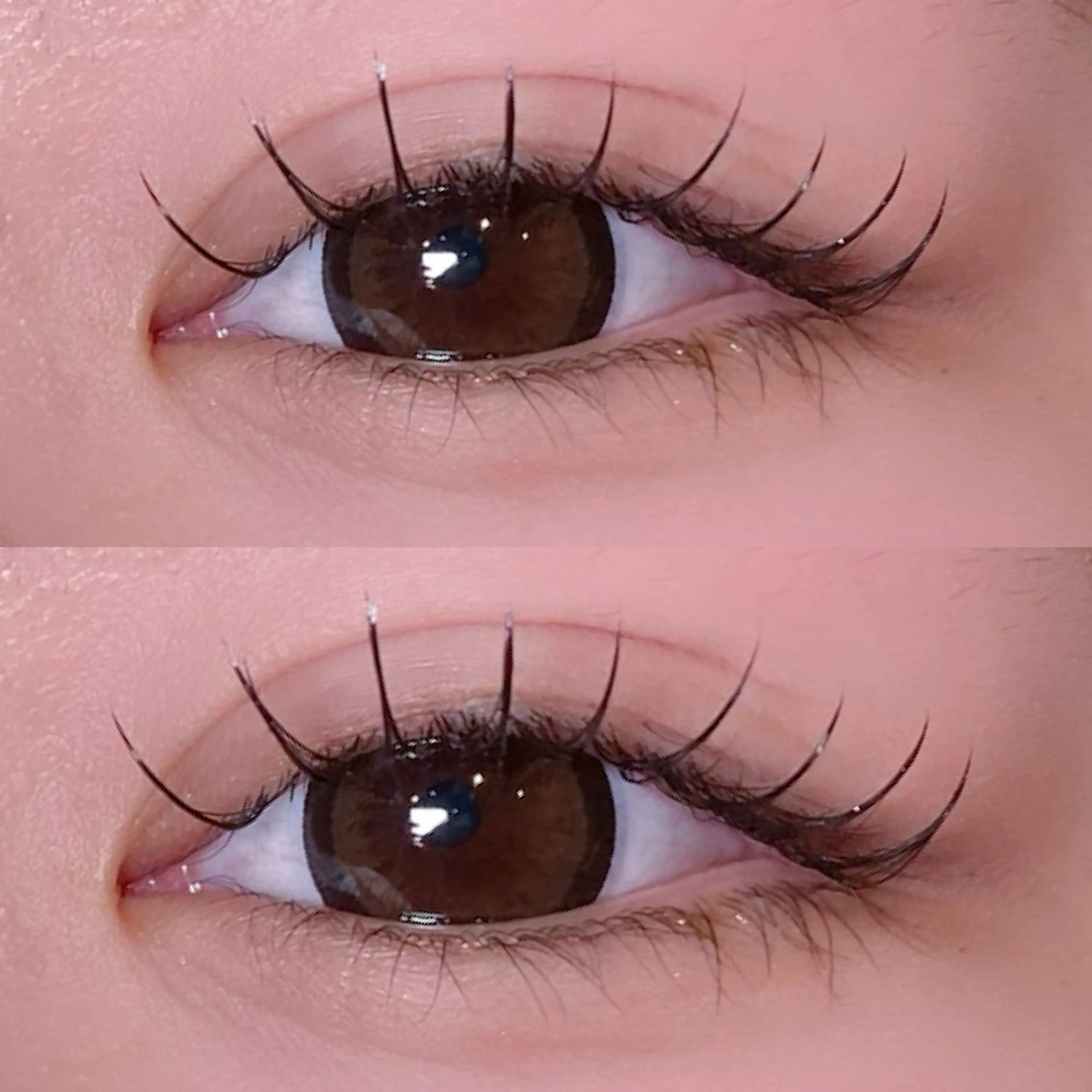 【ナチュラルデザイン】束感マツエク ✨80本✨オフ&コーティング付💫の写真