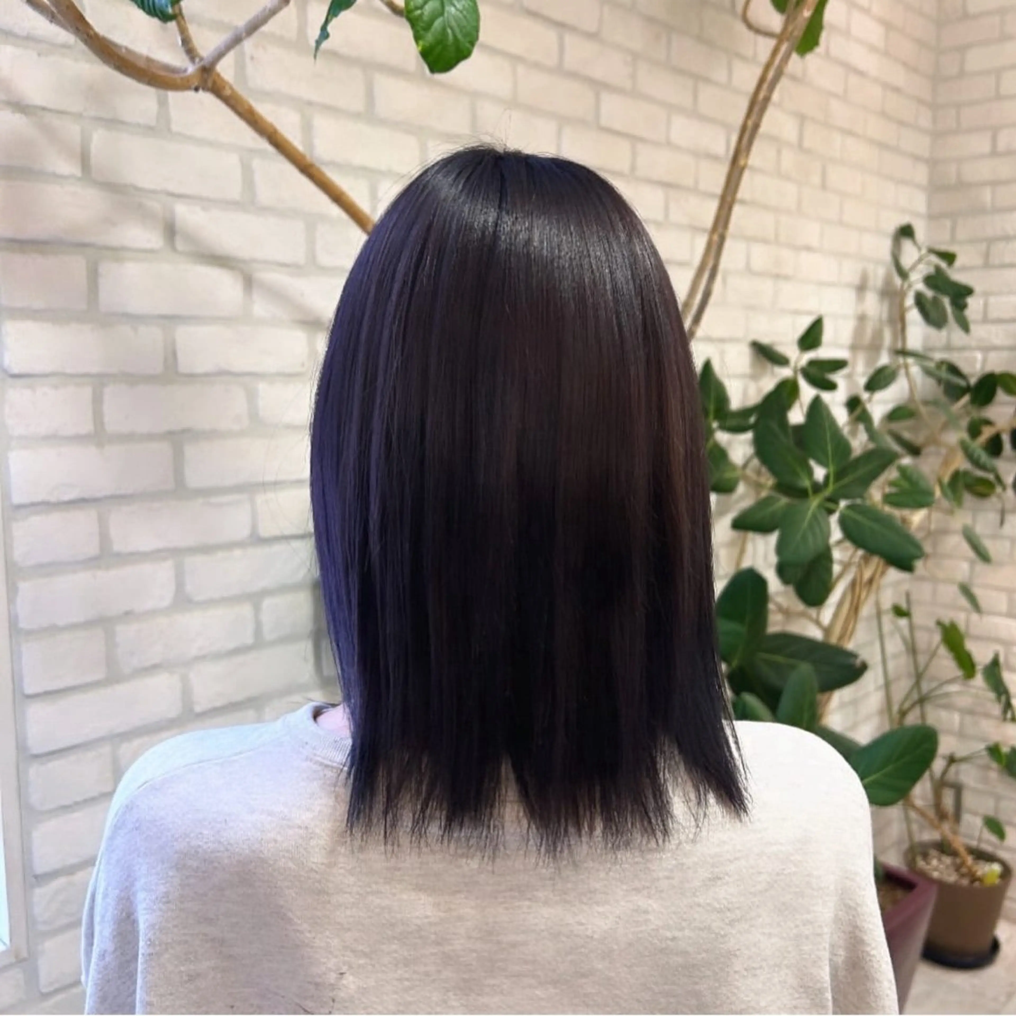 ミディアム カラー 韓国ヘア🧸髪質改善 🧸きくちみさきのヘアスタイル