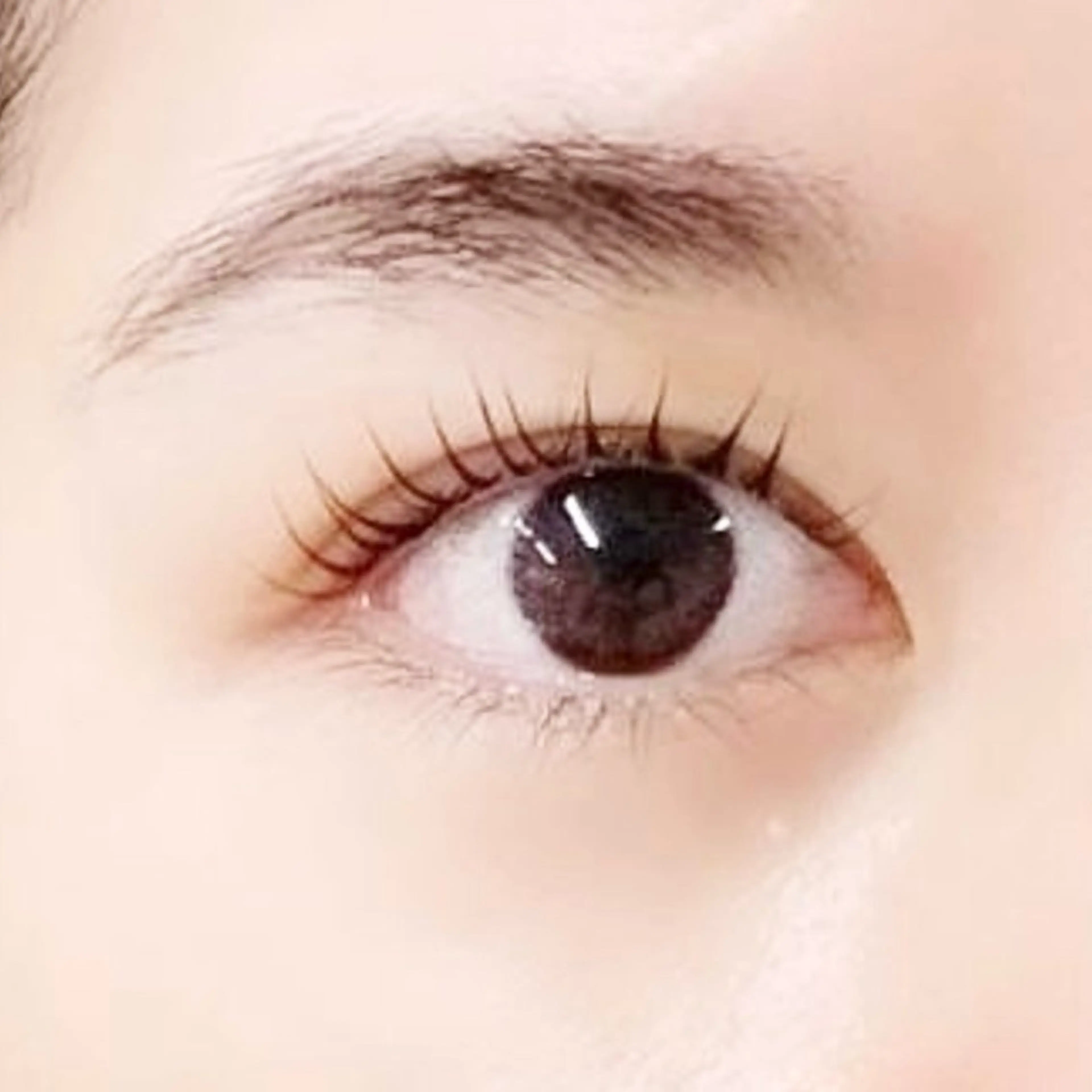 ãããšã¯ã»ããã ð
ðŒðŒ â¡ã®ãããšã¯ã»ããããã¶ã€ã³