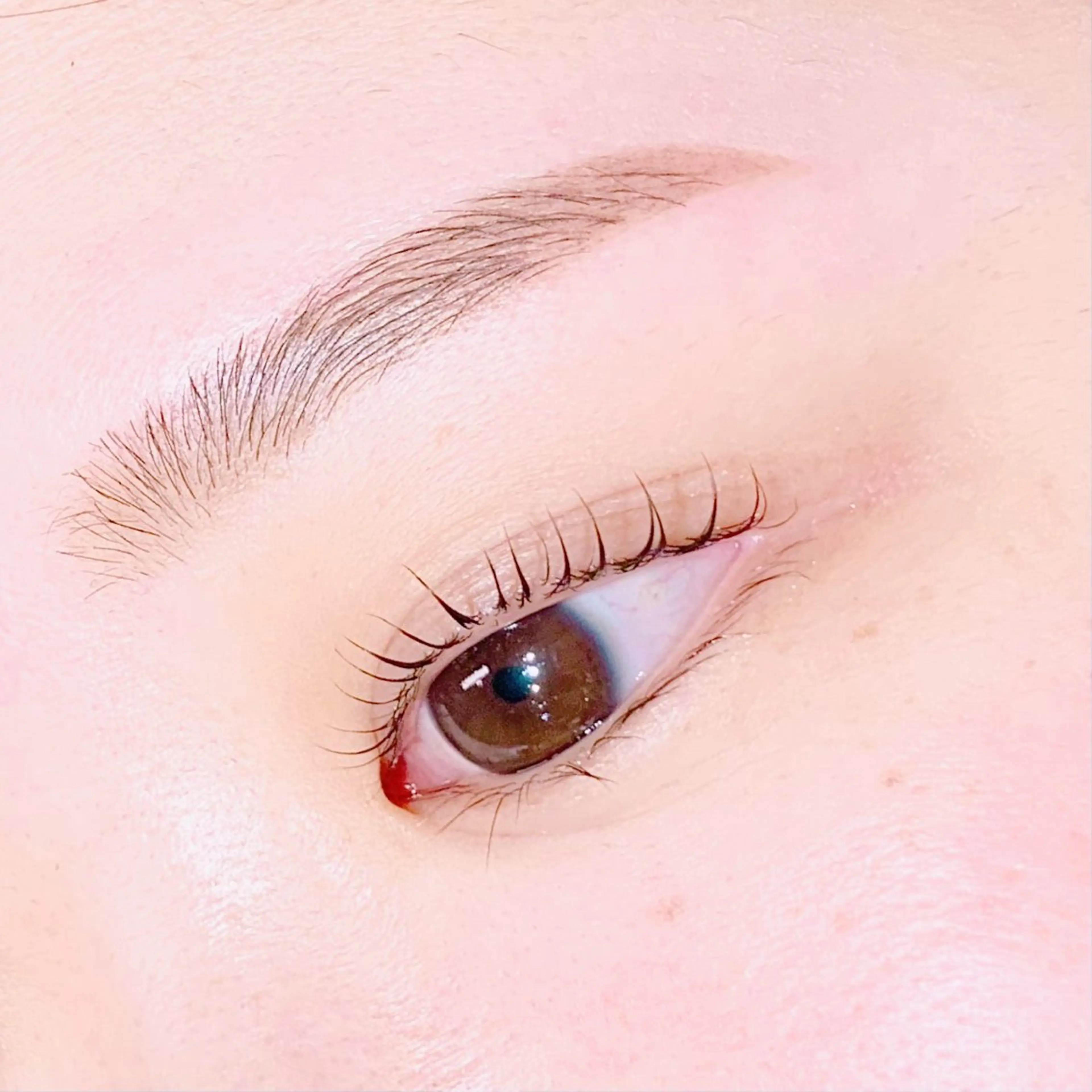 【ご新規様限定】黄金比🌸美眉アイブロウWAXの写真