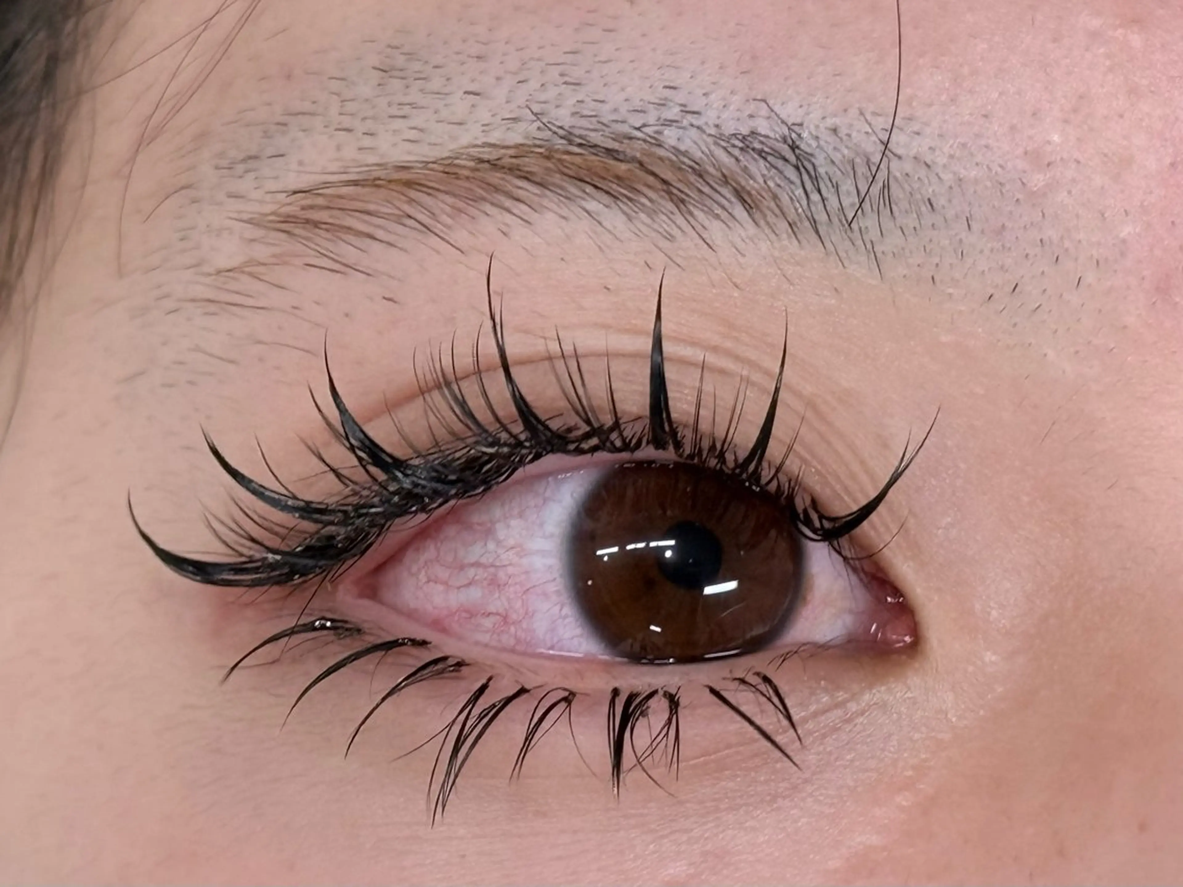 ❣️LEDワンホンデザイン❣️猫目デザイン　上140束＋下30本の写真