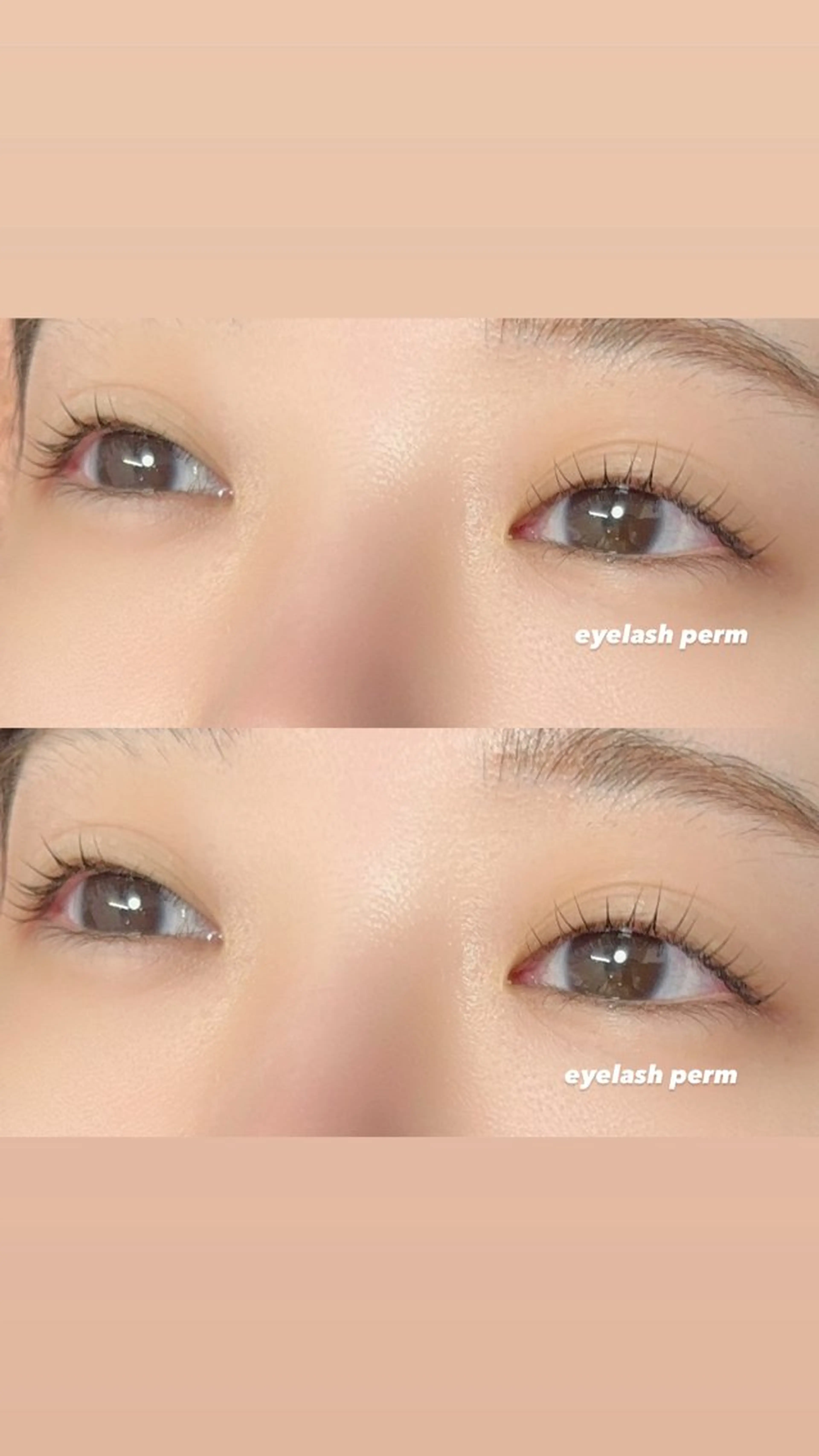 マツエク・マツパ Ayumi.dre 🐹H〈2階〉のマツエク・マツパデザイン