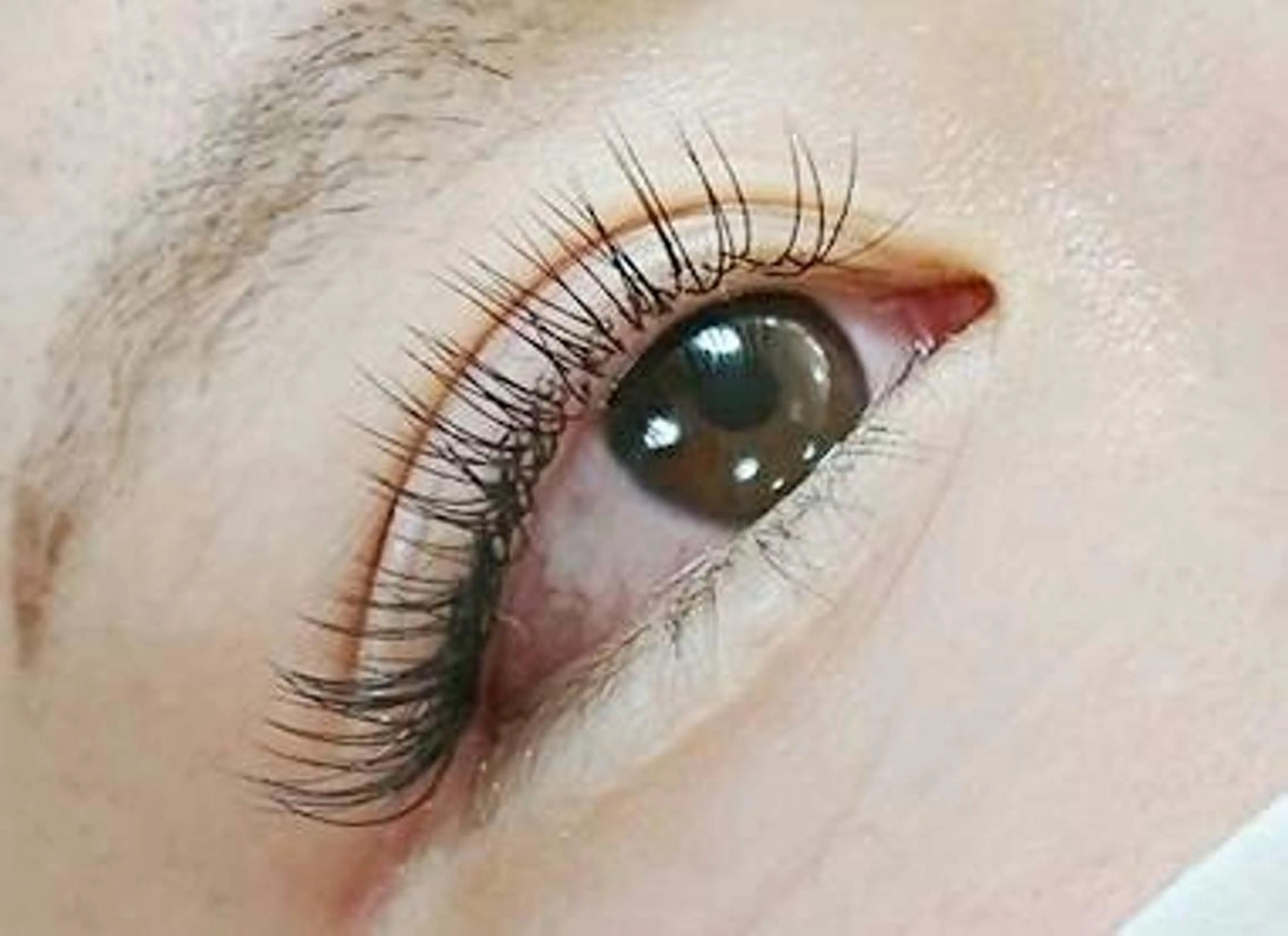 マツエク・マツパ 目尻長め セクシー アネラ 北本店のマツエク・マツパデザイン