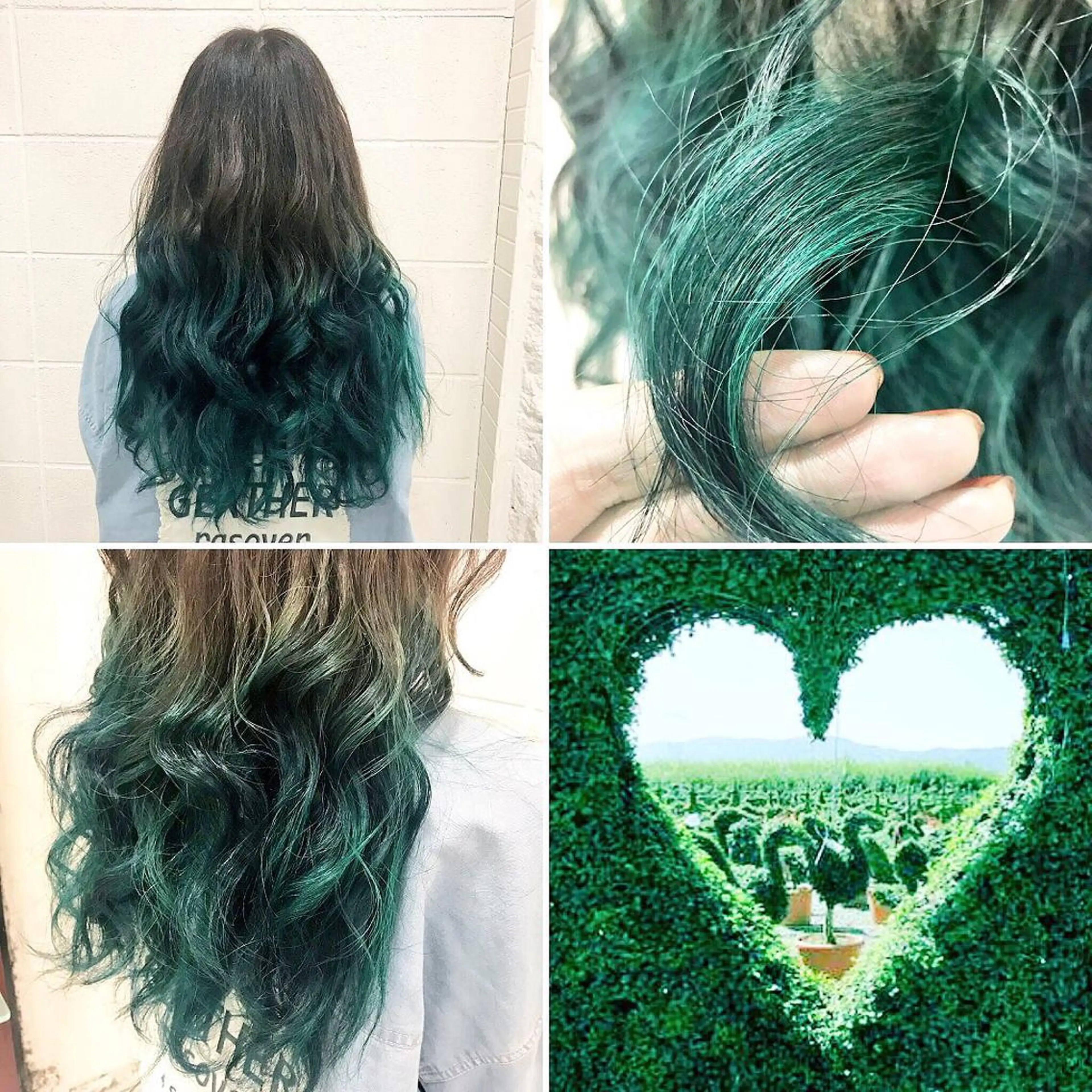 ロング カラー アッシュ アッシュグレー グラデーションカラー ヘアカラー トリートメント "PEPPU "所属・🌈推し色派手髪 ハイトーンShinのヘアスタイル