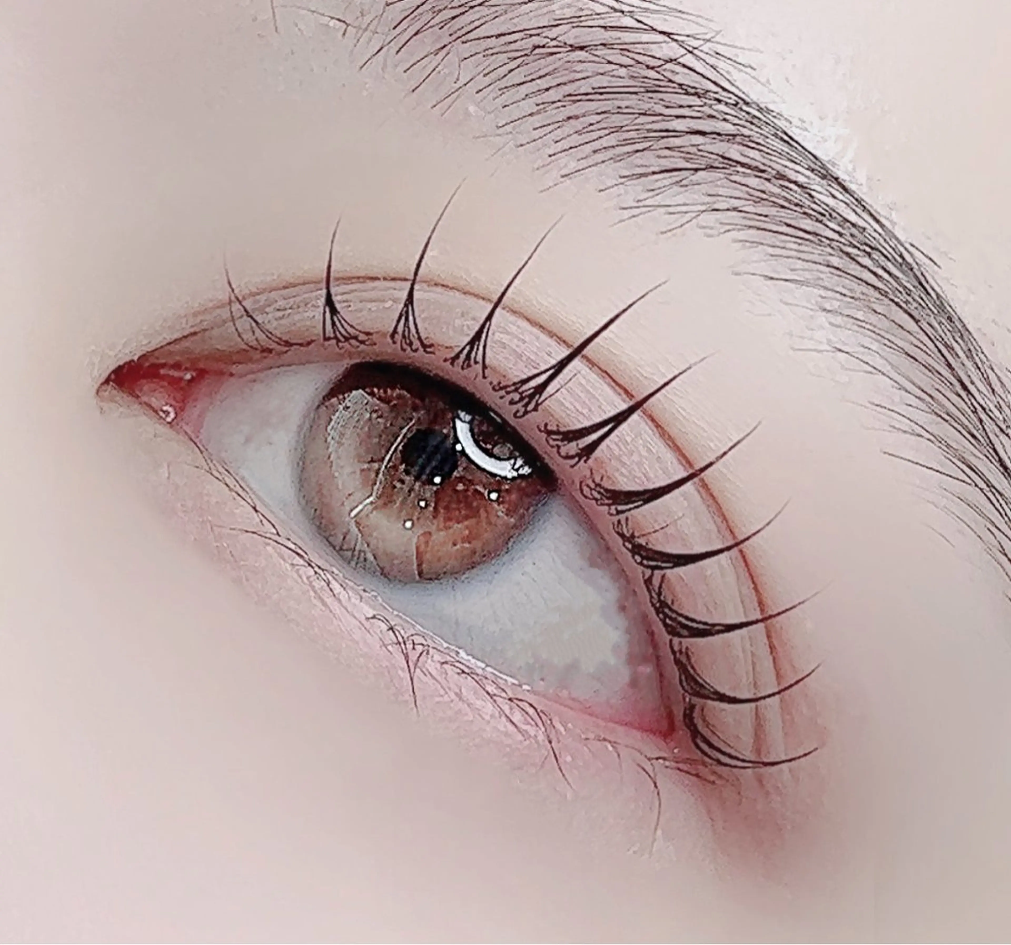 【リピーター様】🫧🦩上まつ毛ラッシュリフトorパリジェンヌラッシュリフト🦩🫧 【コーティングトリートメント付き】の写真