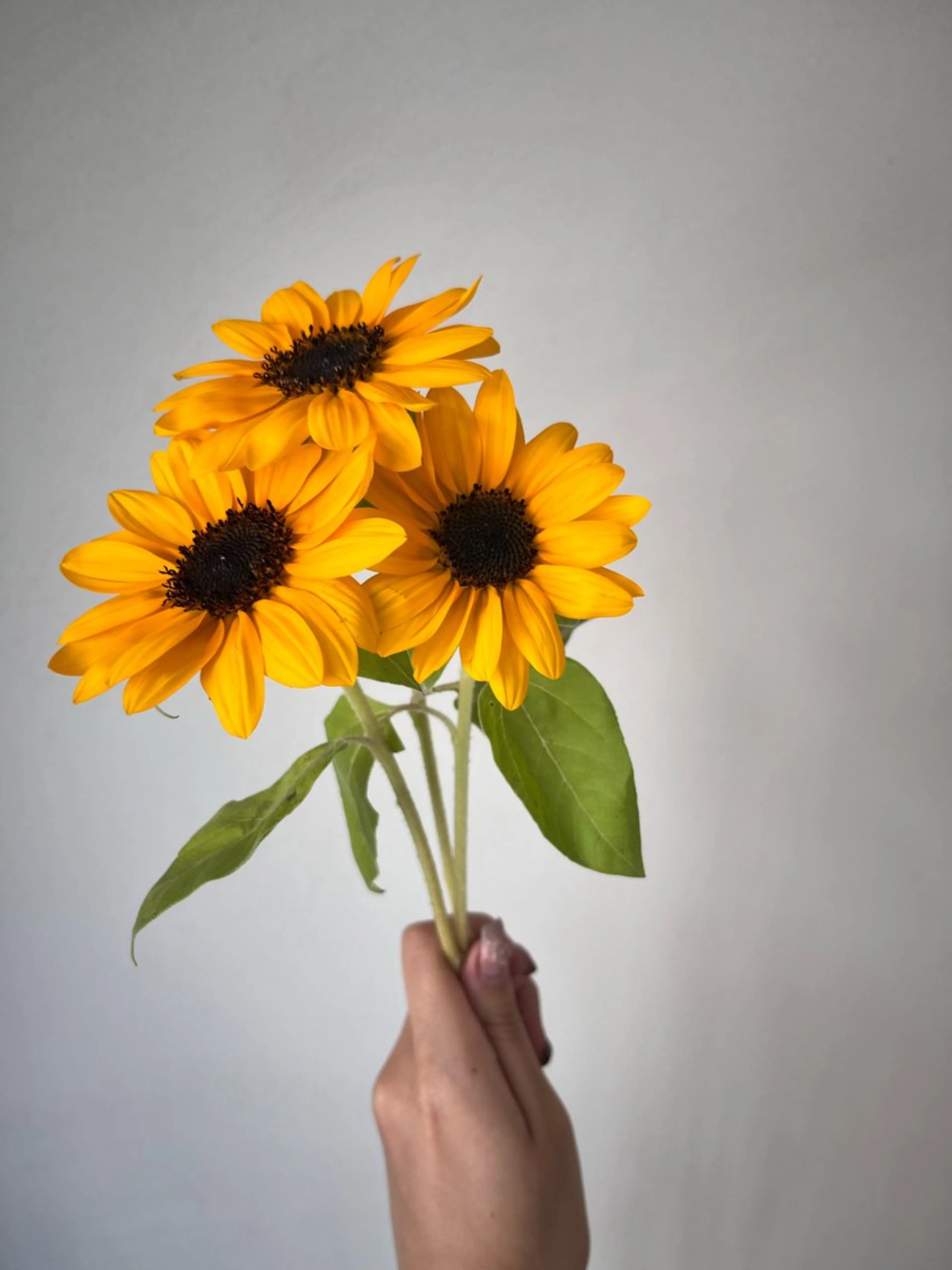 ロング カラー 暖色カラー／ ヘアセット🌛櫻井舞のヘアスタイル