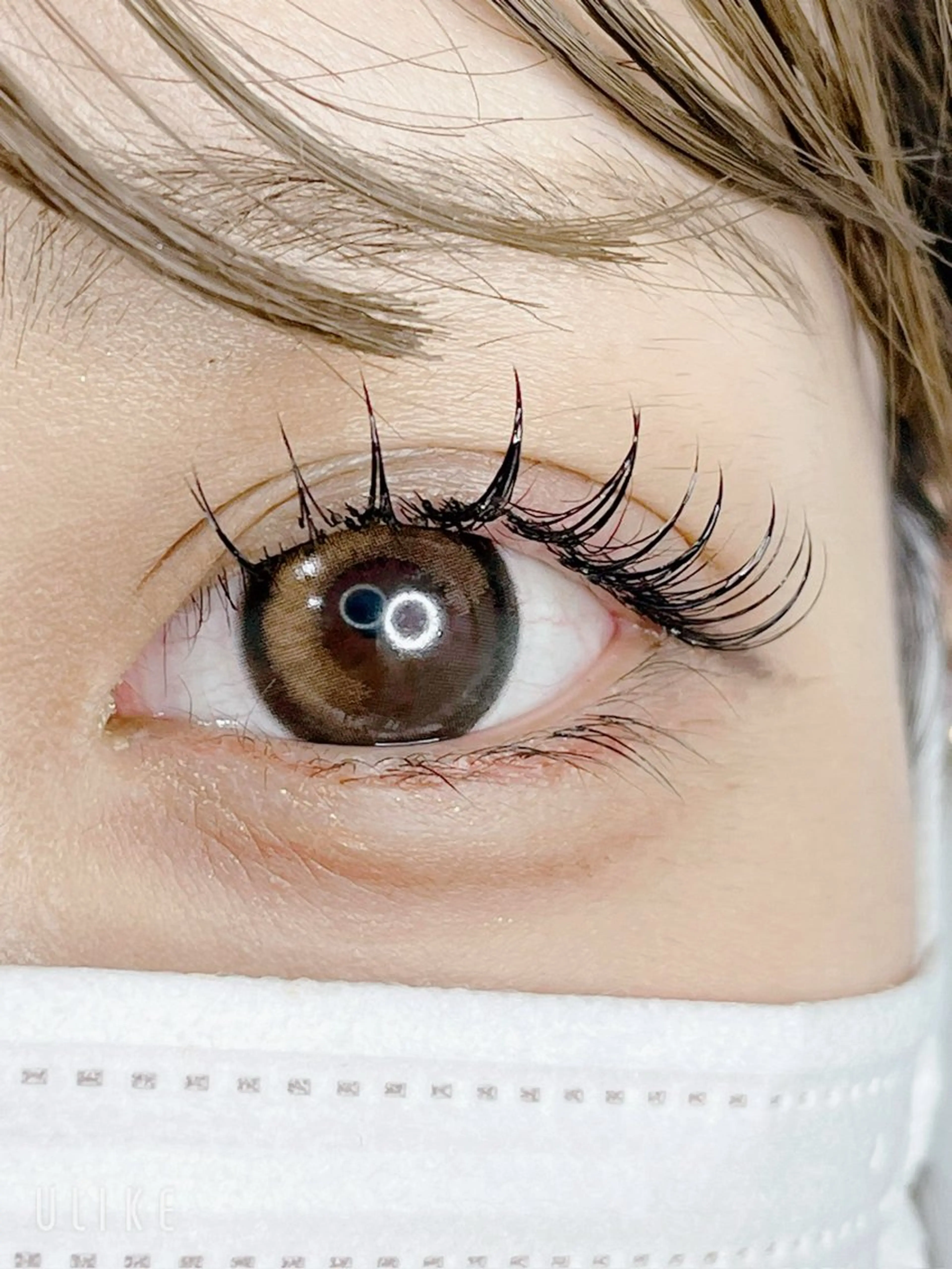 最新！！♢LEDエクステ ボリュームラッシュ300本/フラットラッシュ120本の写真