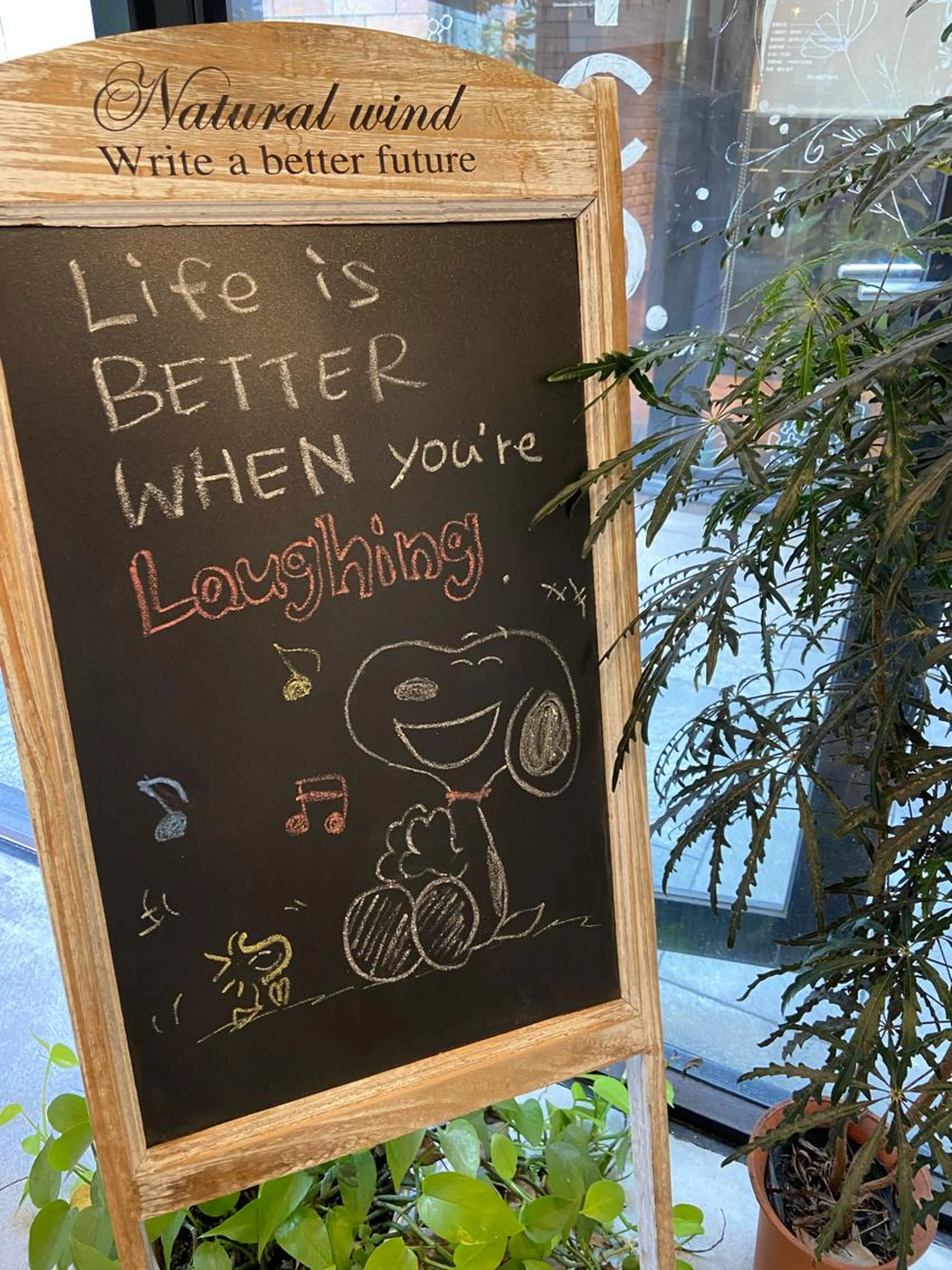 【初回＆2回目ご利用の方】ヘッドスパの写真