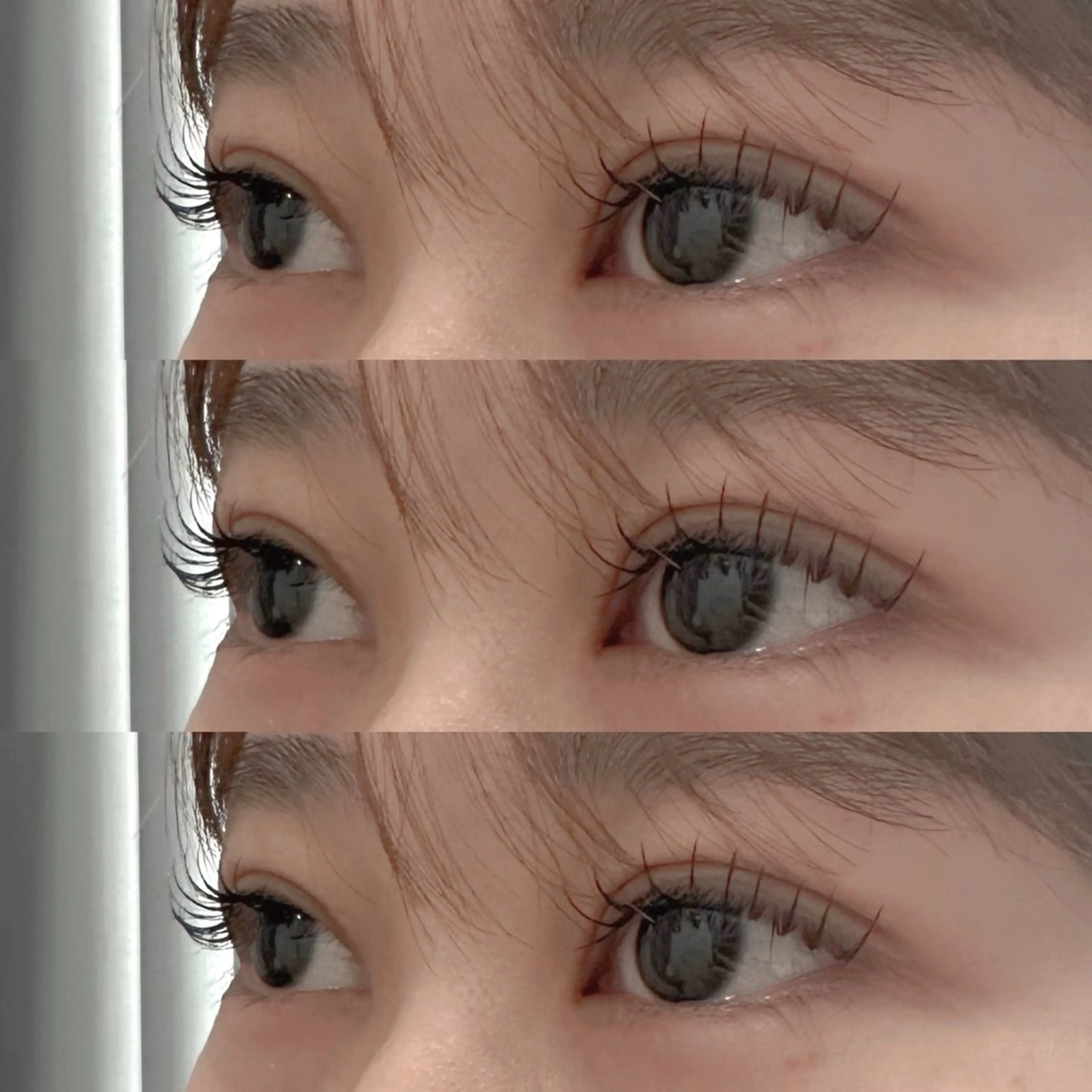 ⋆౨ৎﾟ⟡.flatlush‪100本の写真