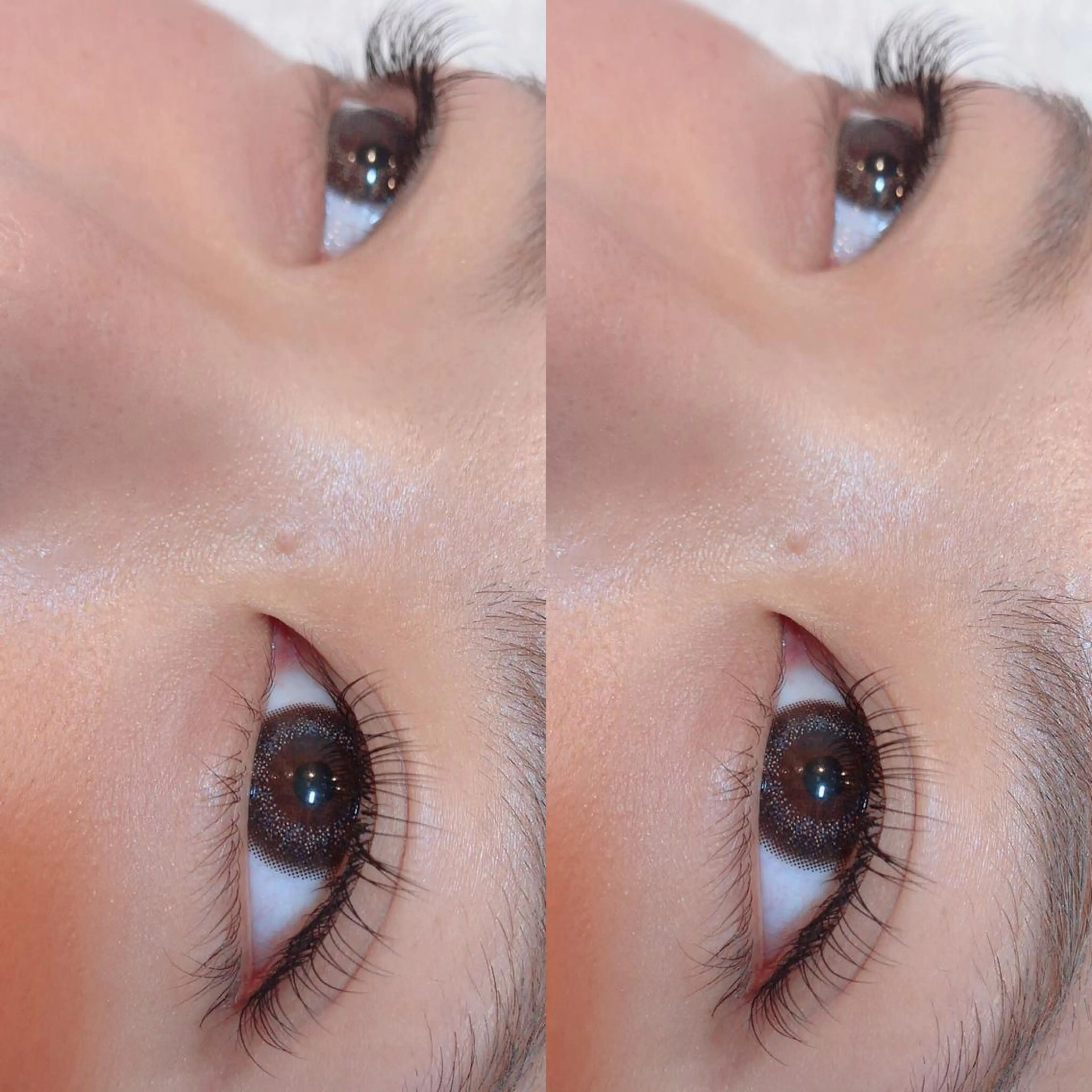 マツエク・マツパ セーブル 【ｉｒｏｋａ】 AYAKAのマツエク・マツパデザイン