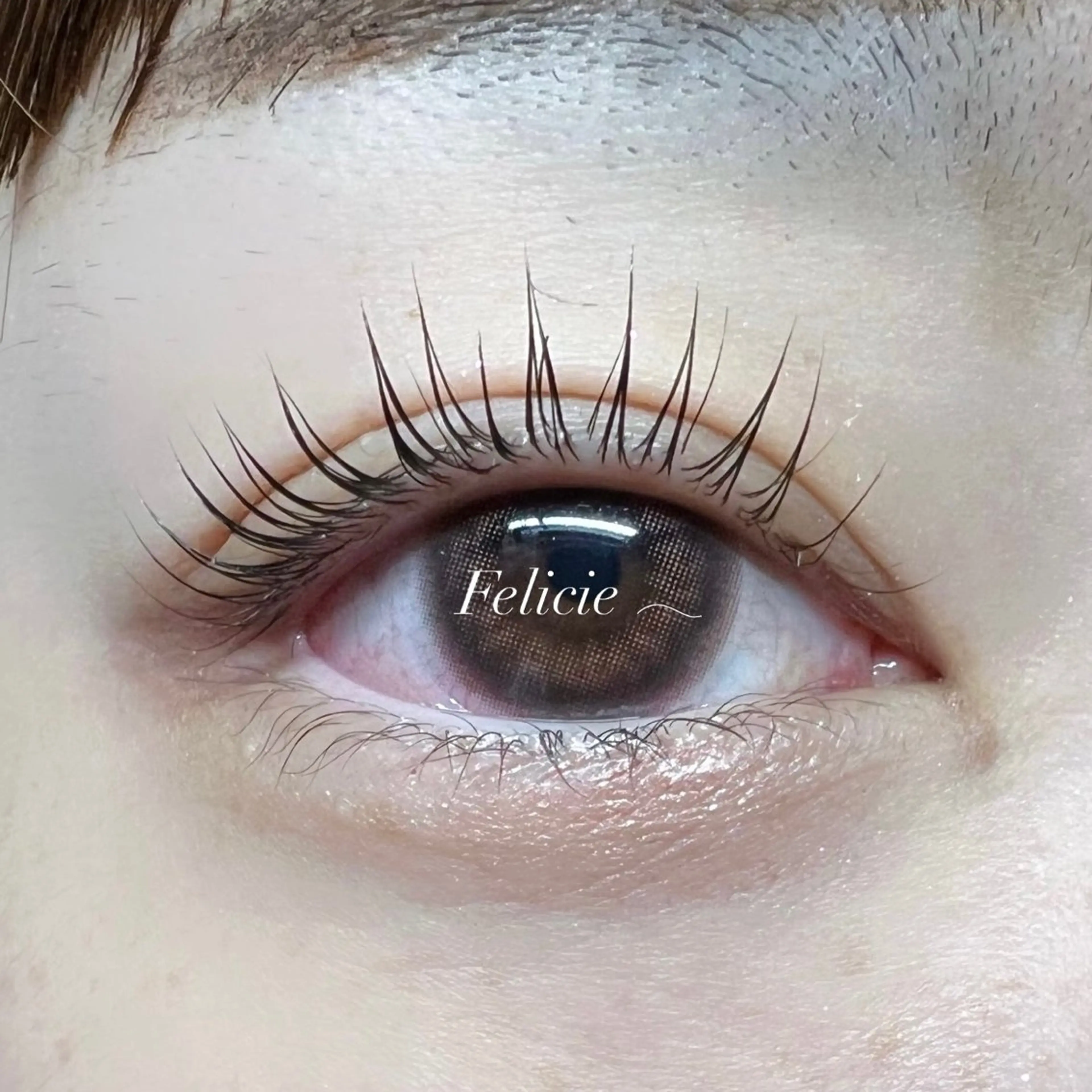 マツエク・マツパ パリジェンヌラッシュリフト マツパ Felicie＊ Sayakaのマツエク・マツパデザイン