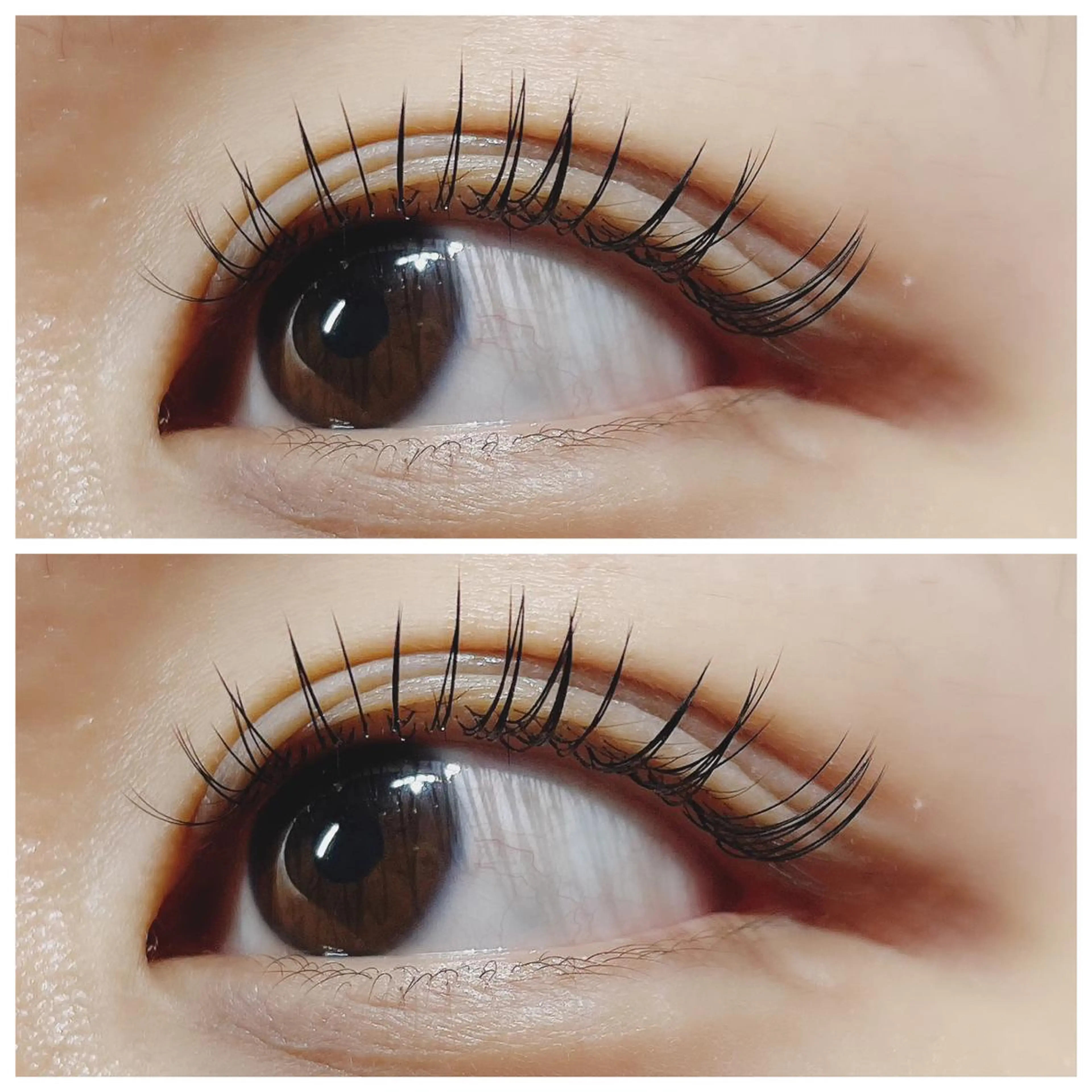 【エクステオフ無し】🎀フラットマットラッシュ120本🎀(オフ無料&ヒアルロン酸配合トリートメントコーティング付)の写真