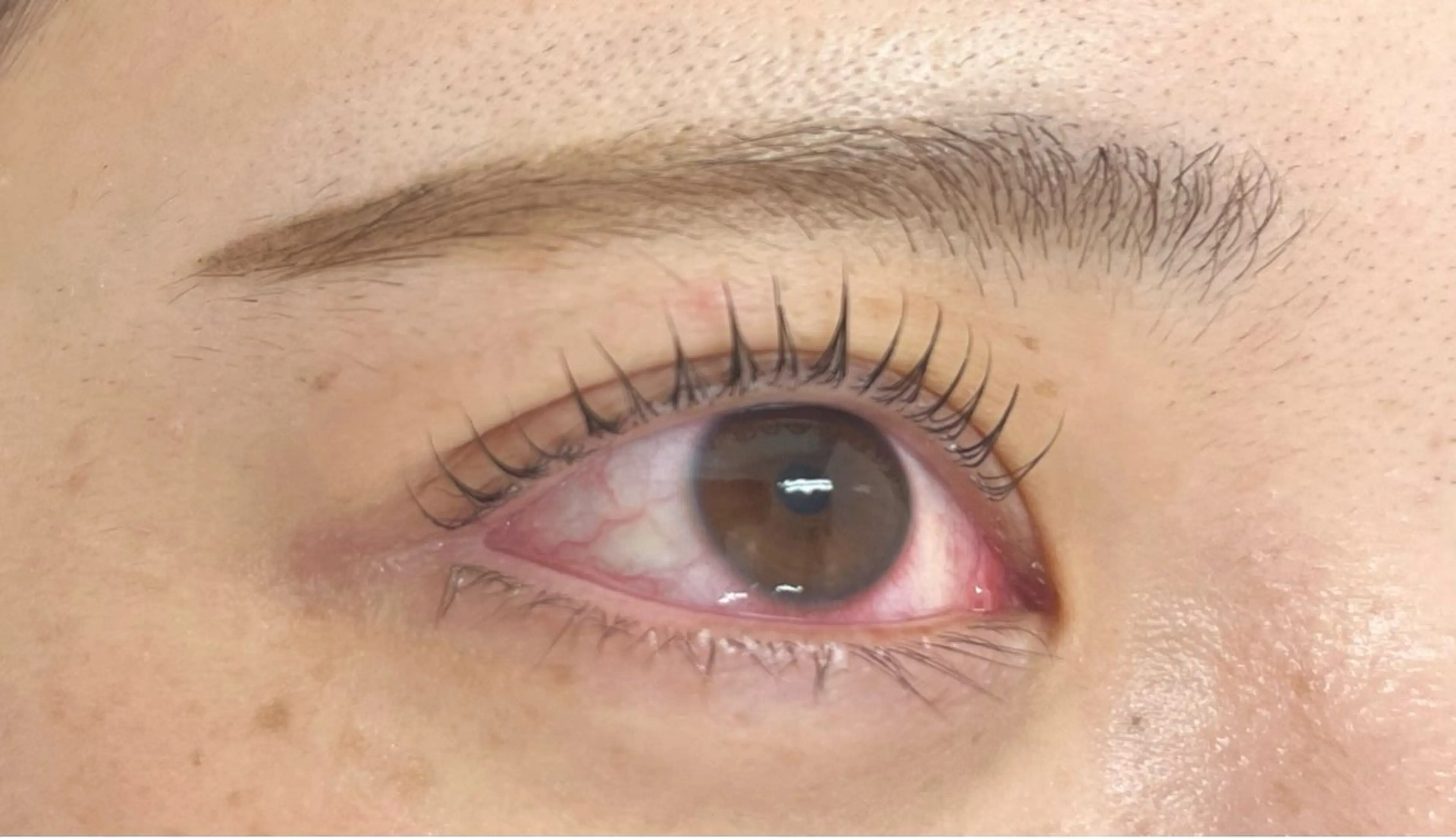 マツエク・マツパ Dカール 一重×まつ毛パーマ マツパ ⭐️alice tokyo秋田⭐️のマツエク・マツパデザイン