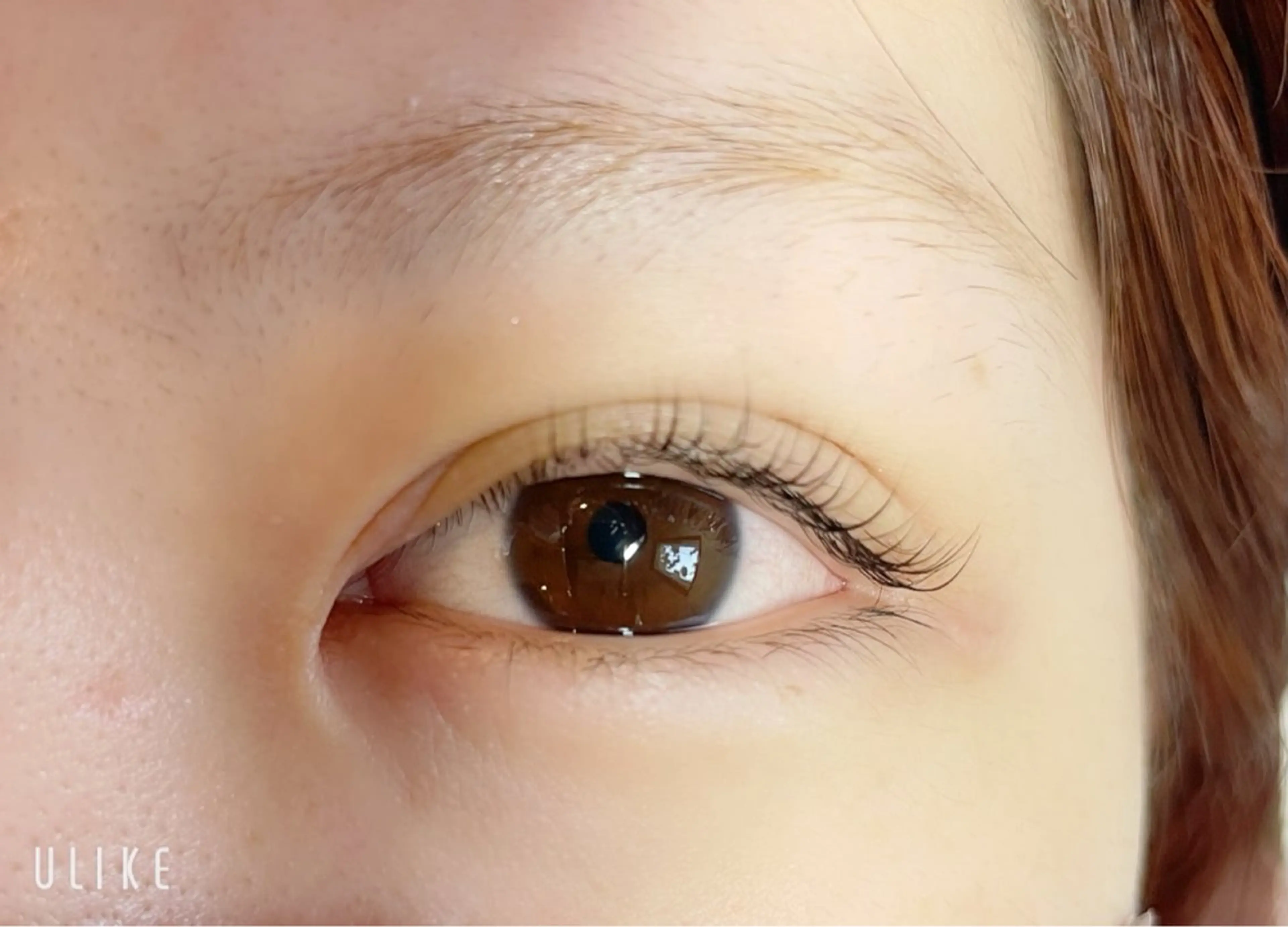 マツエク・マツパ 桑野 葵のヘアスタイル