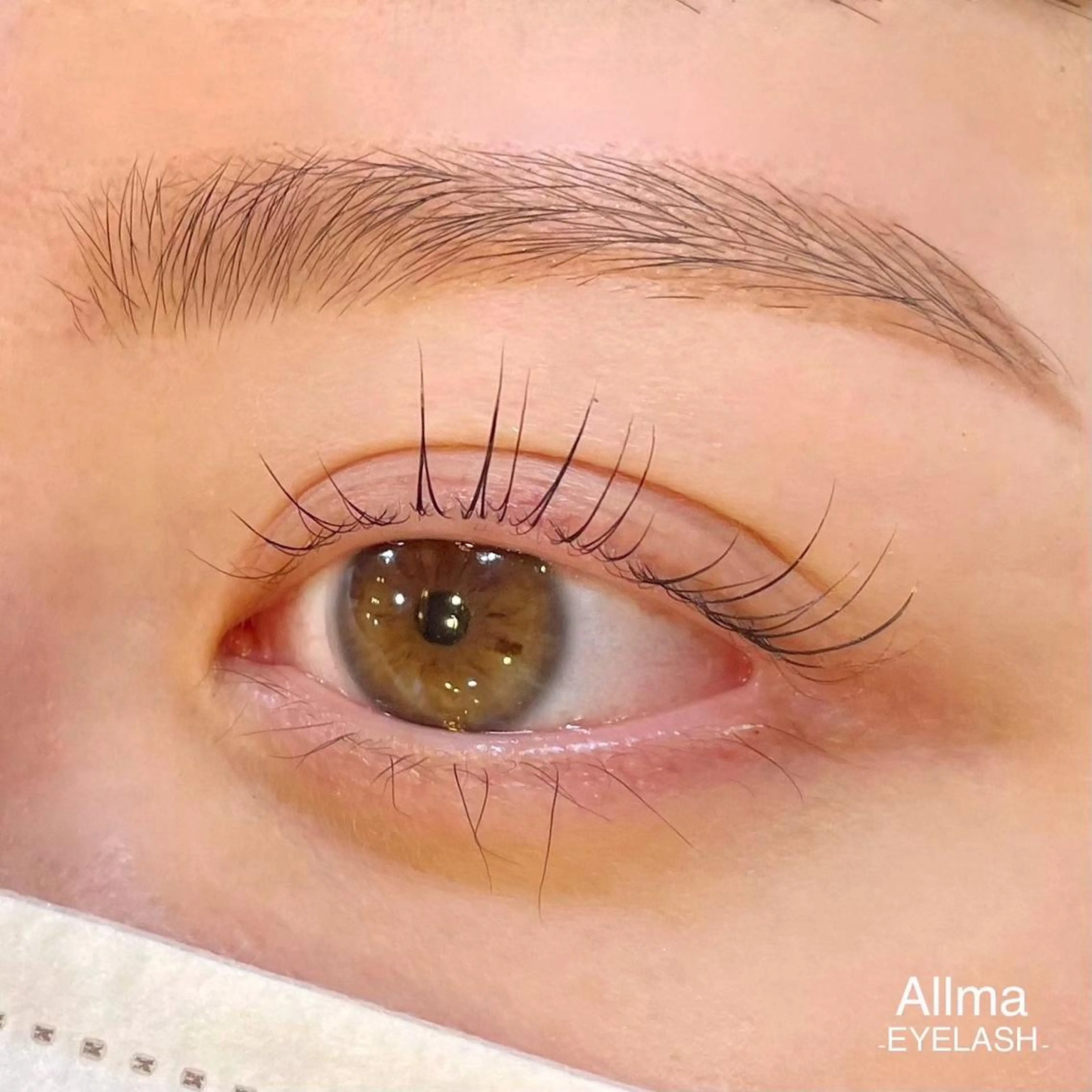 マツエク・マツパ アイブロウ 一重×まつ毛パーマ ワックス脱毛 眉カット その他(アイブロウ) Allma 横浜のマツエク・マツパデザイン