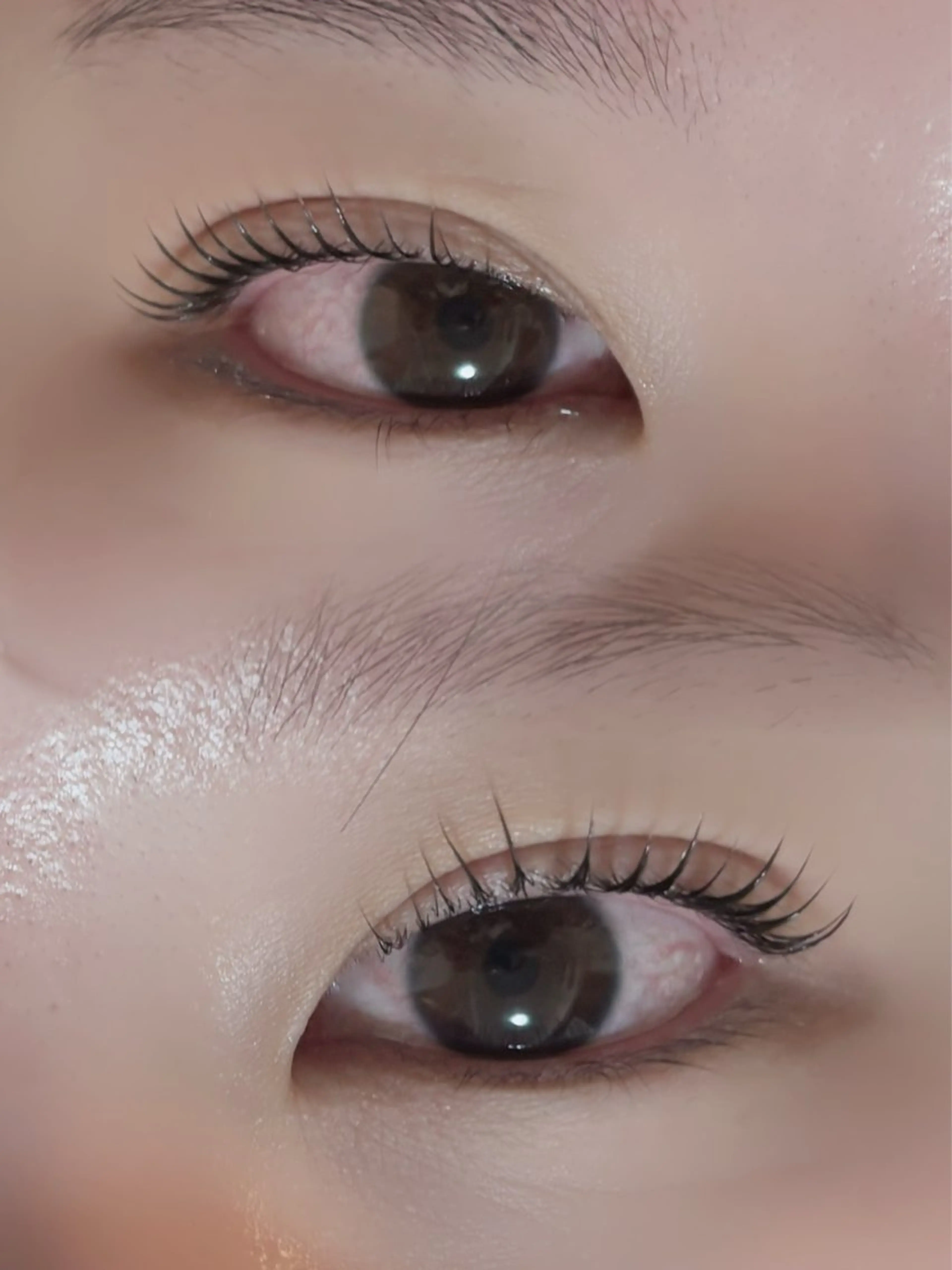 パーマ マツパ マリーテレジア HORIBEのマツエク・マツパデザイン