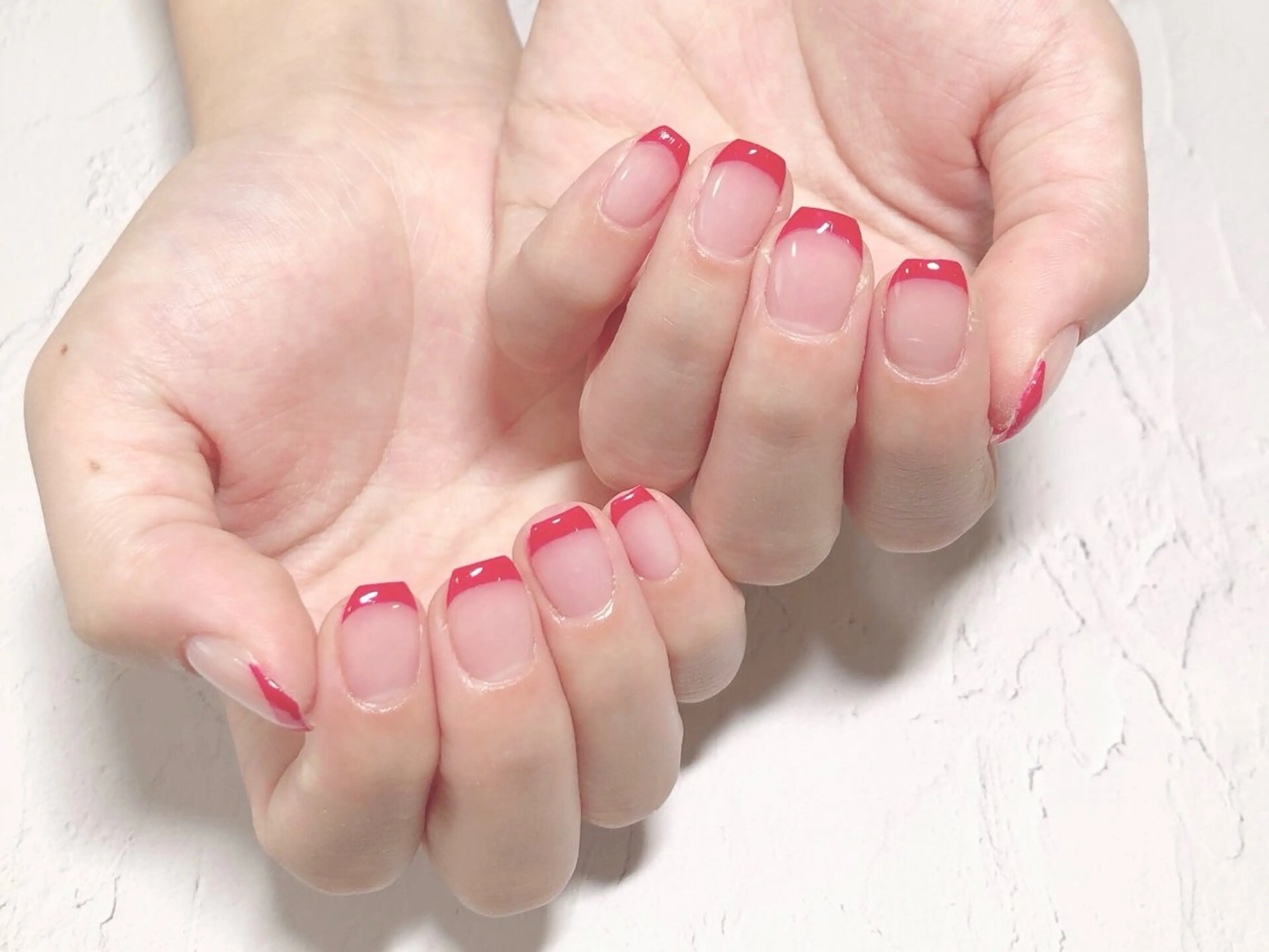 【オフなし】フレンチの写真