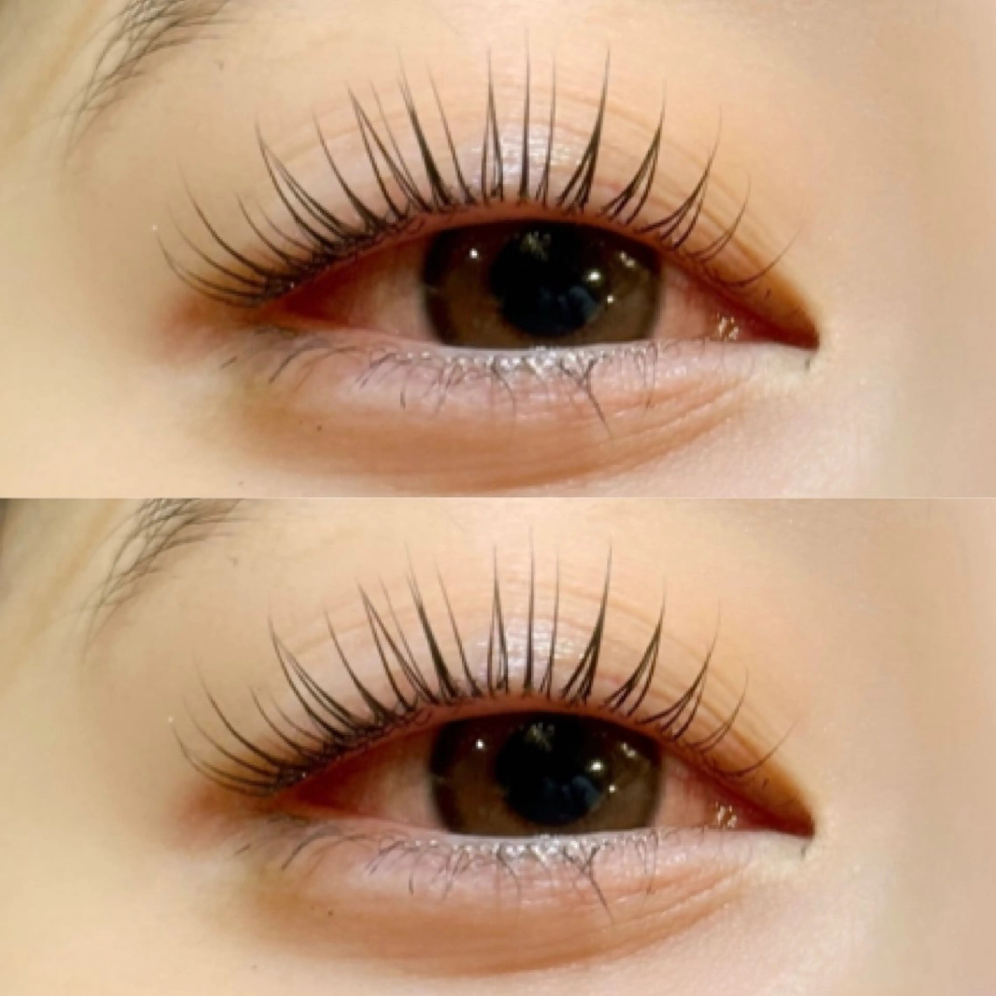 マツエク・マツパ マツパ PRIMO🐈🌱 マツパ/黒ティントのマツエク・マツパデザイン