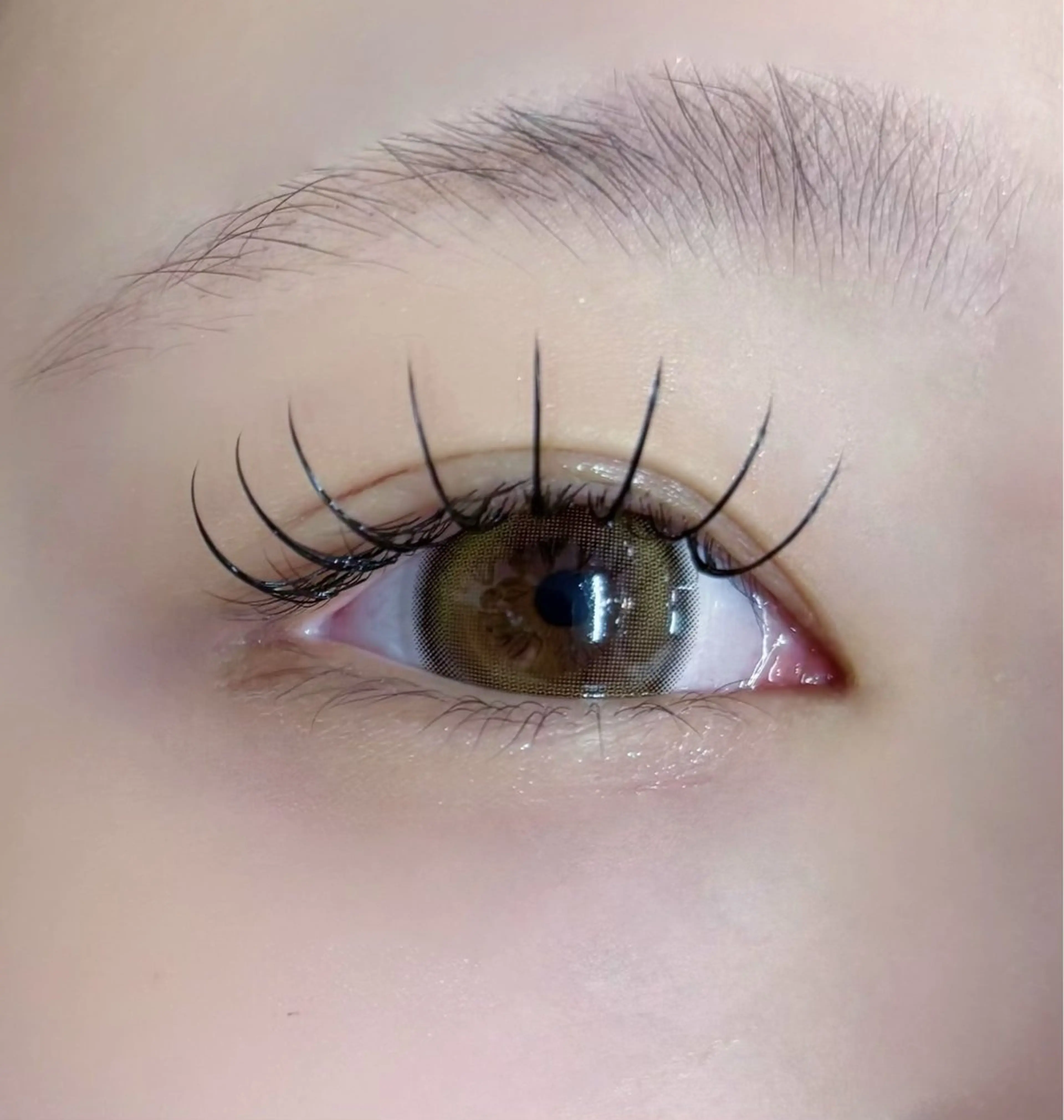 マツエク・マツパ マツエク 京都駅 / ひなこ 𖤐ﾐのマツエク・マツパデザイン