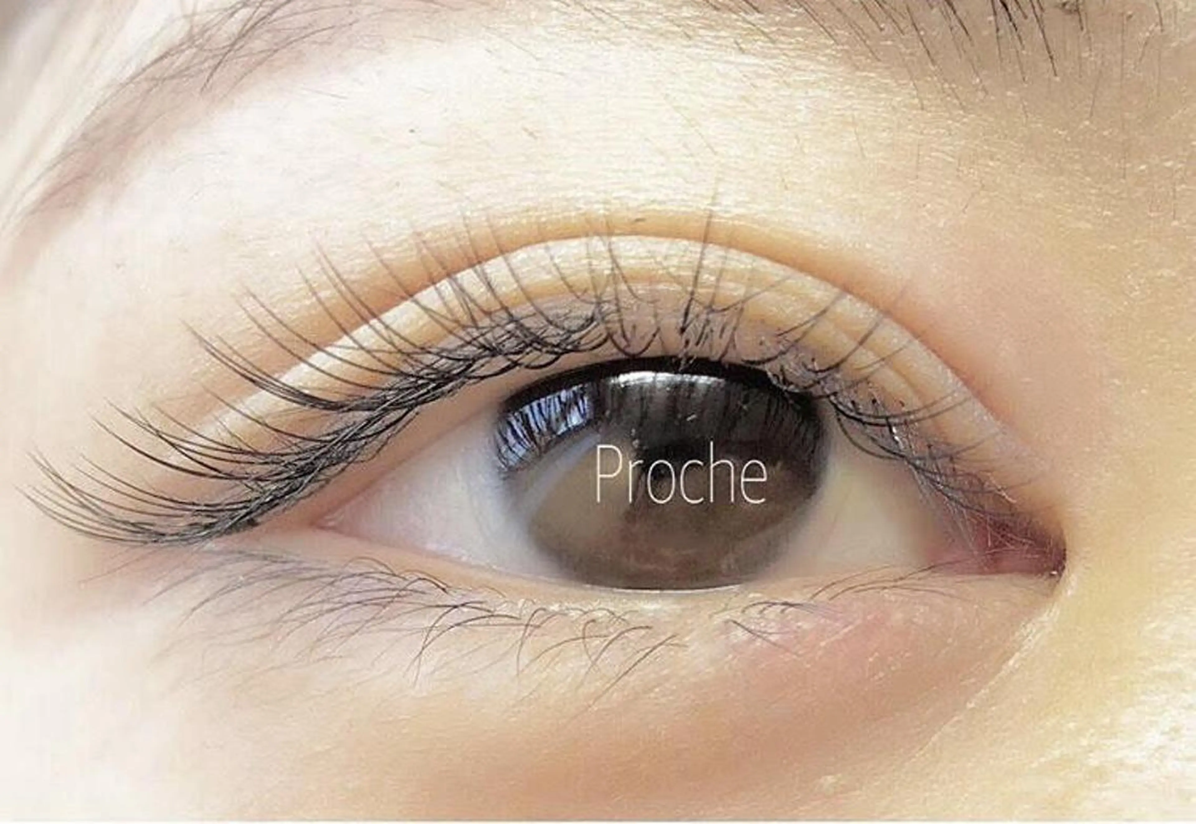 マツエク・マツパ Jカール セーブル マツエク& アイブロウサロンのマツエク・マツパデザイン