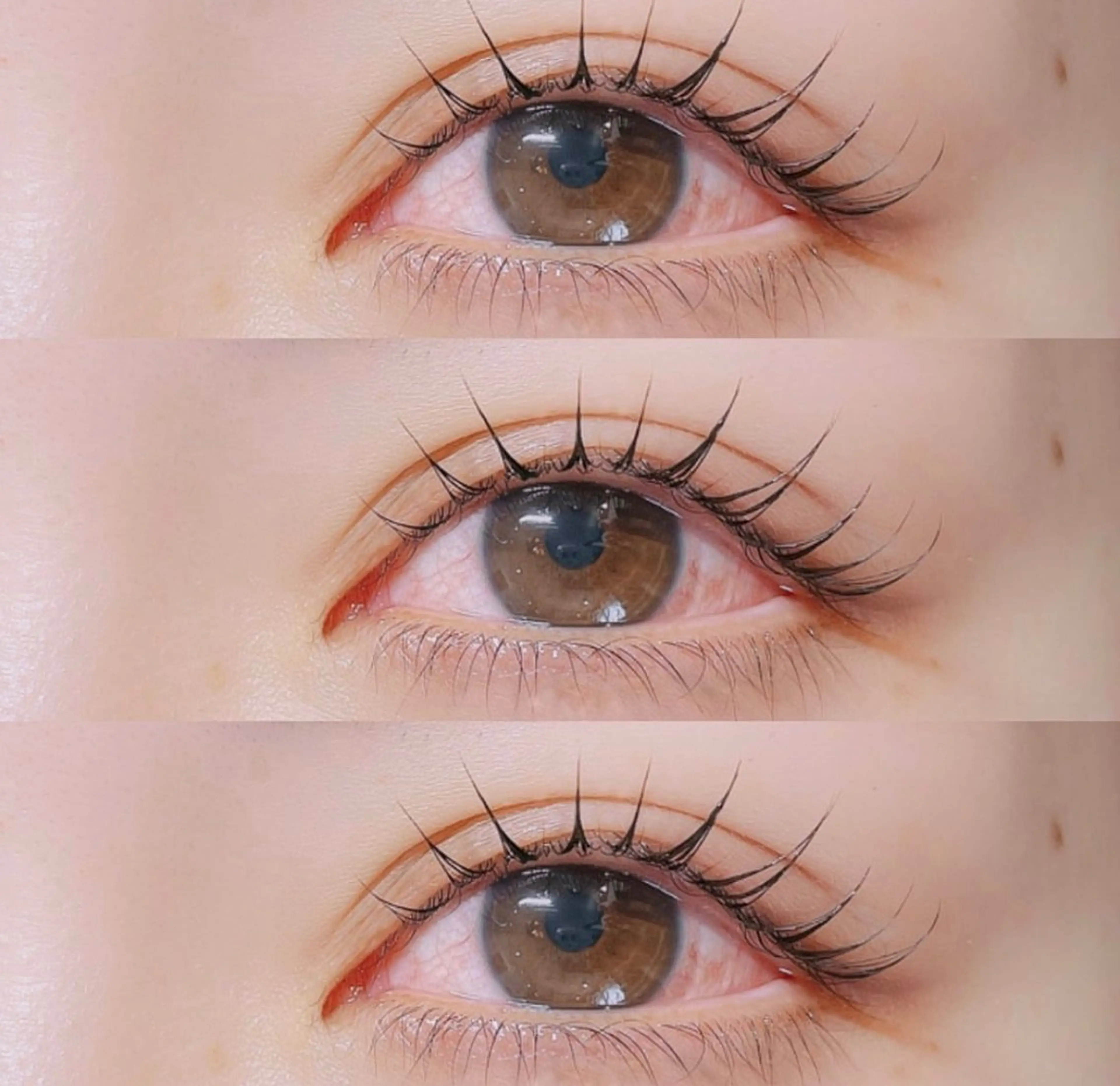 新規限定🧡まつげパーマ＋トリートメント　　5250→4000の写真