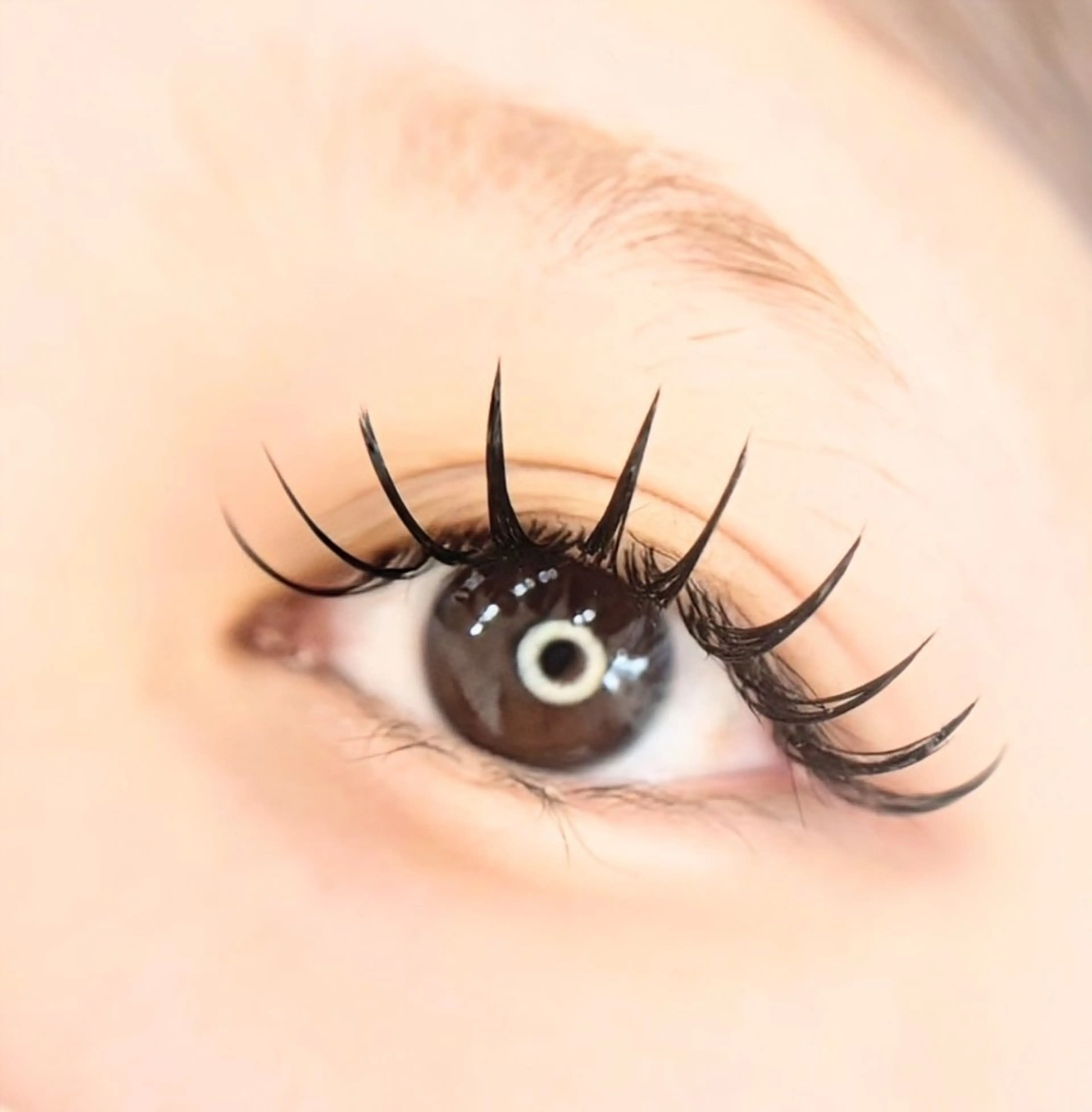 マツエク・マツパ マツエク Grandoll Luxe eye+所属・momo tanakaのマツエク・マツパデザイン