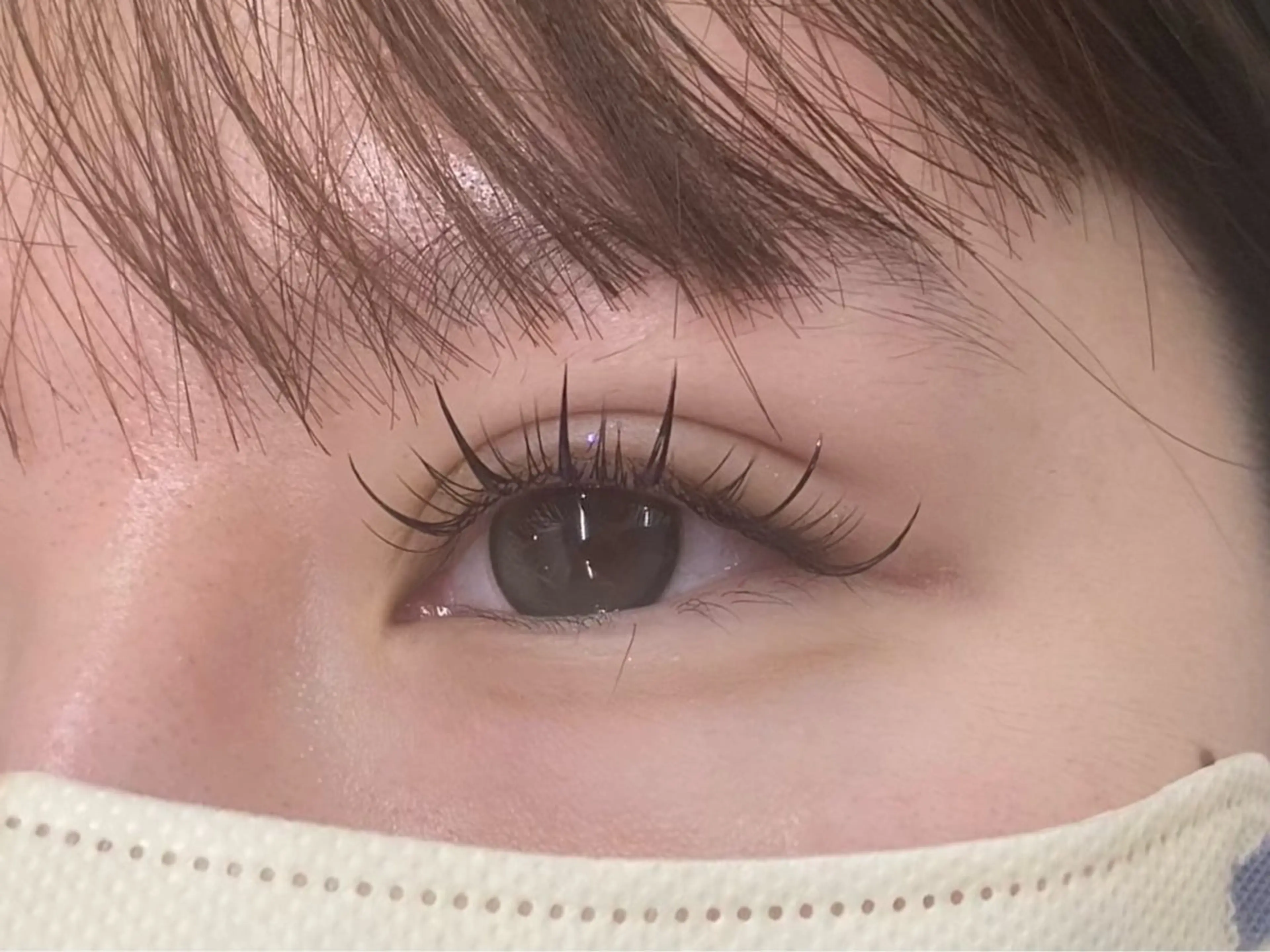 当日限定‼️中華風♥️ワンホン120本✨️の写真