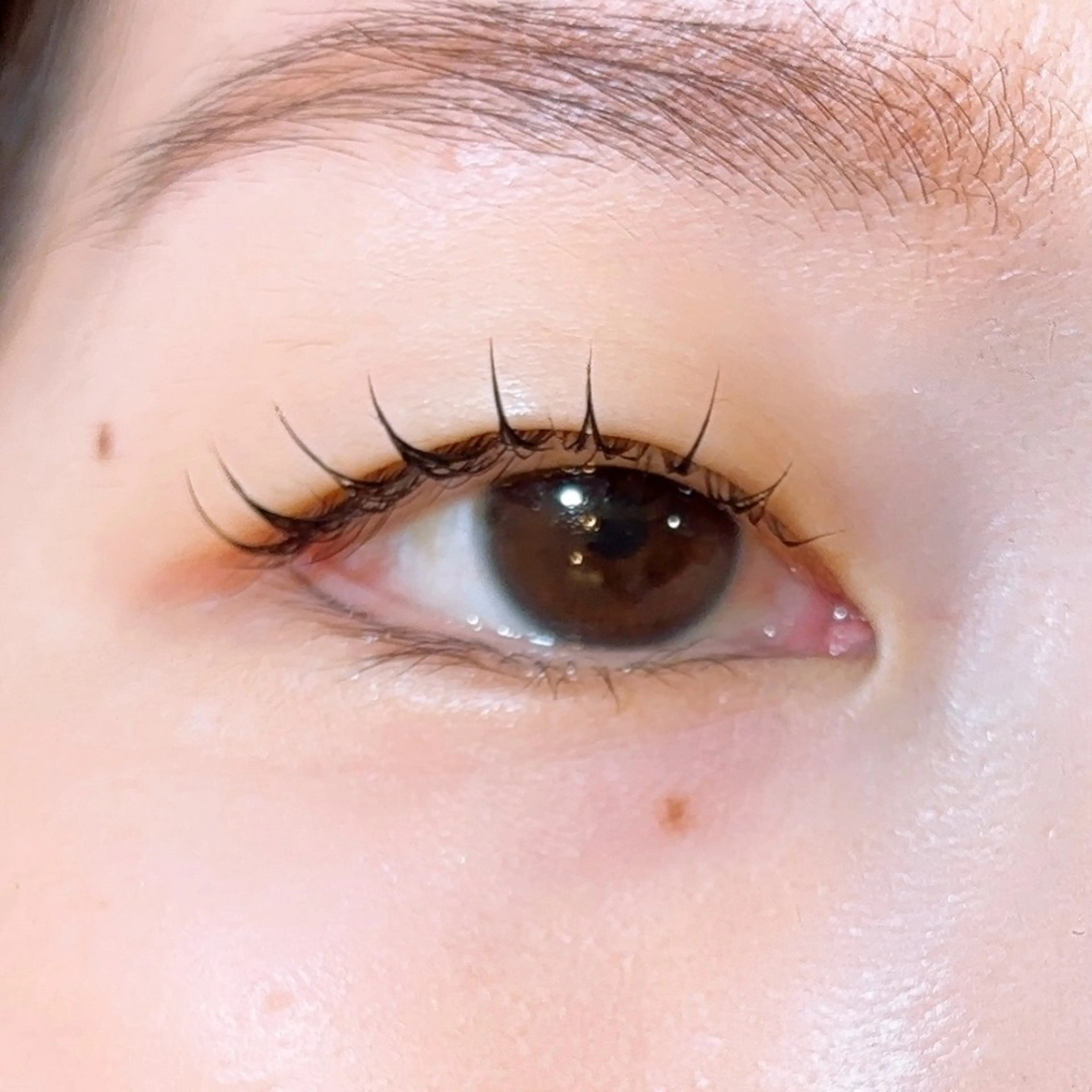 マツエク・マツパ マツパ Honey＆Miel ‪🐣‎🤍AiRiのマツエク・マツパデザイン