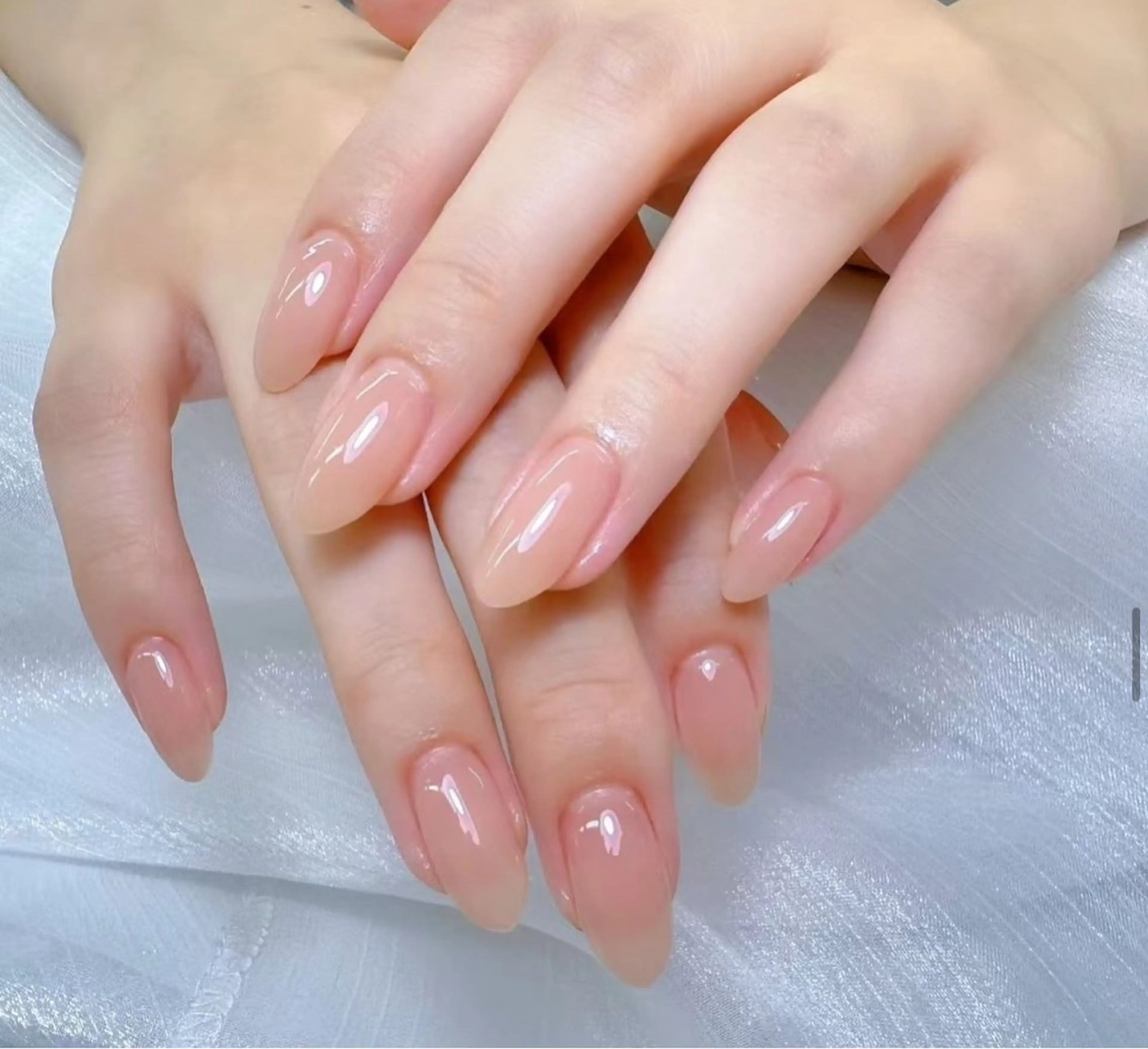 ネイル アートネイル フラワーネイル フレンチネイル ジェルネイル グラデーション ハンドネイル Ryunail所属・Ryu Nail NekoChanのネイルデザイン