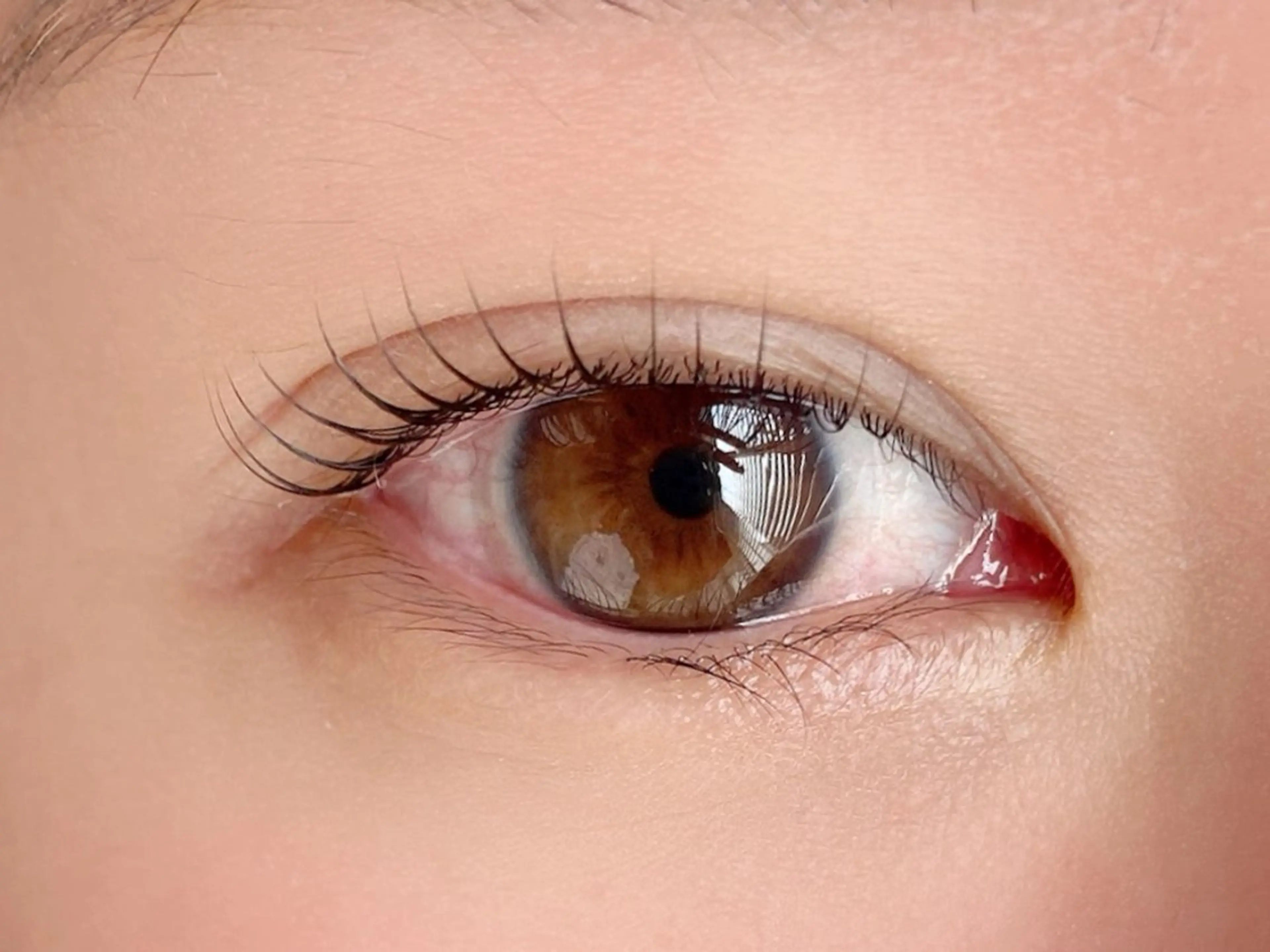 マツエク・マツパ マツパ トップアイリスト羽名 武蔵小杉のマツエク・マツパデザイン