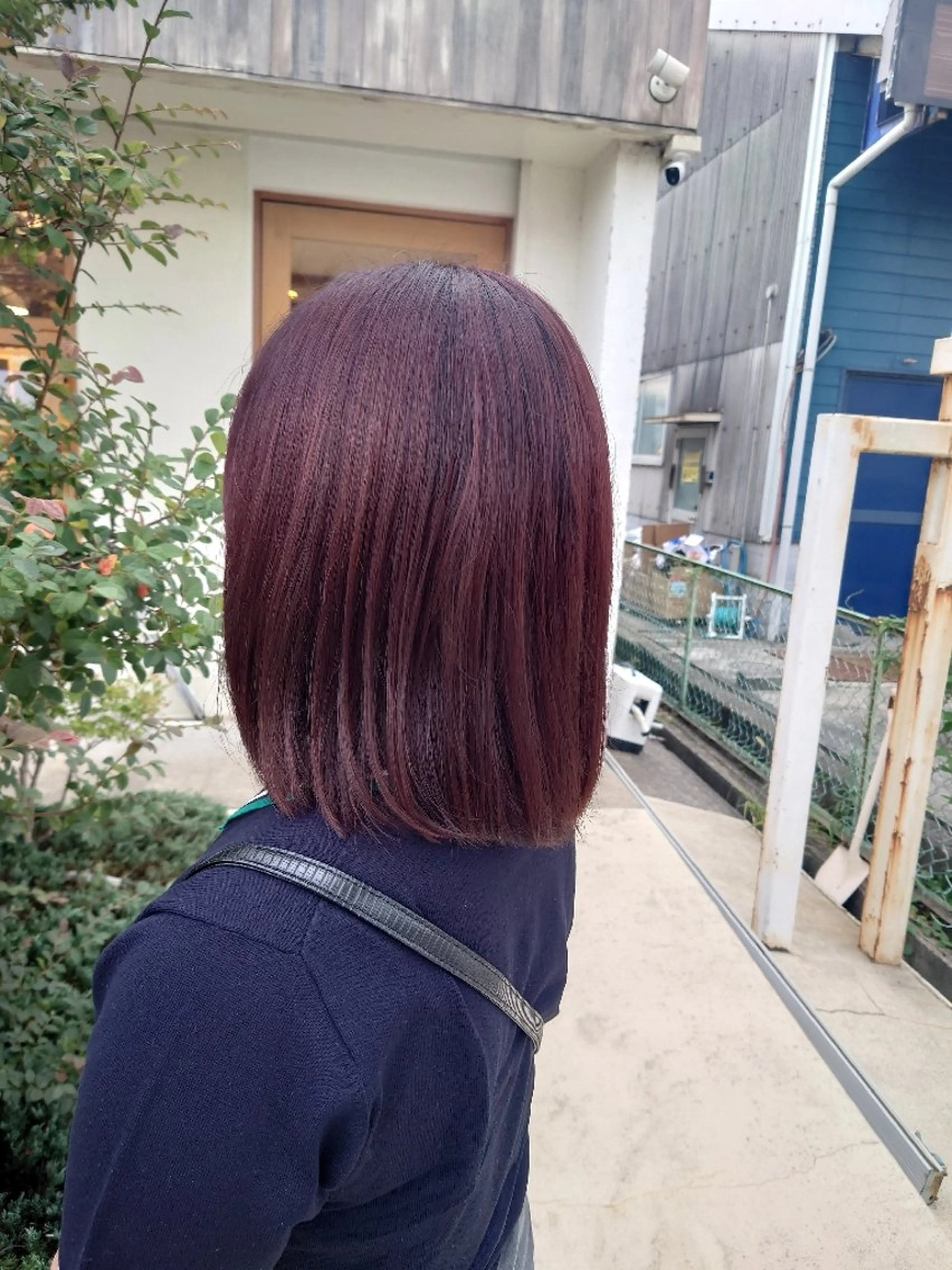 ワンカラー＋SPA🌼の写真