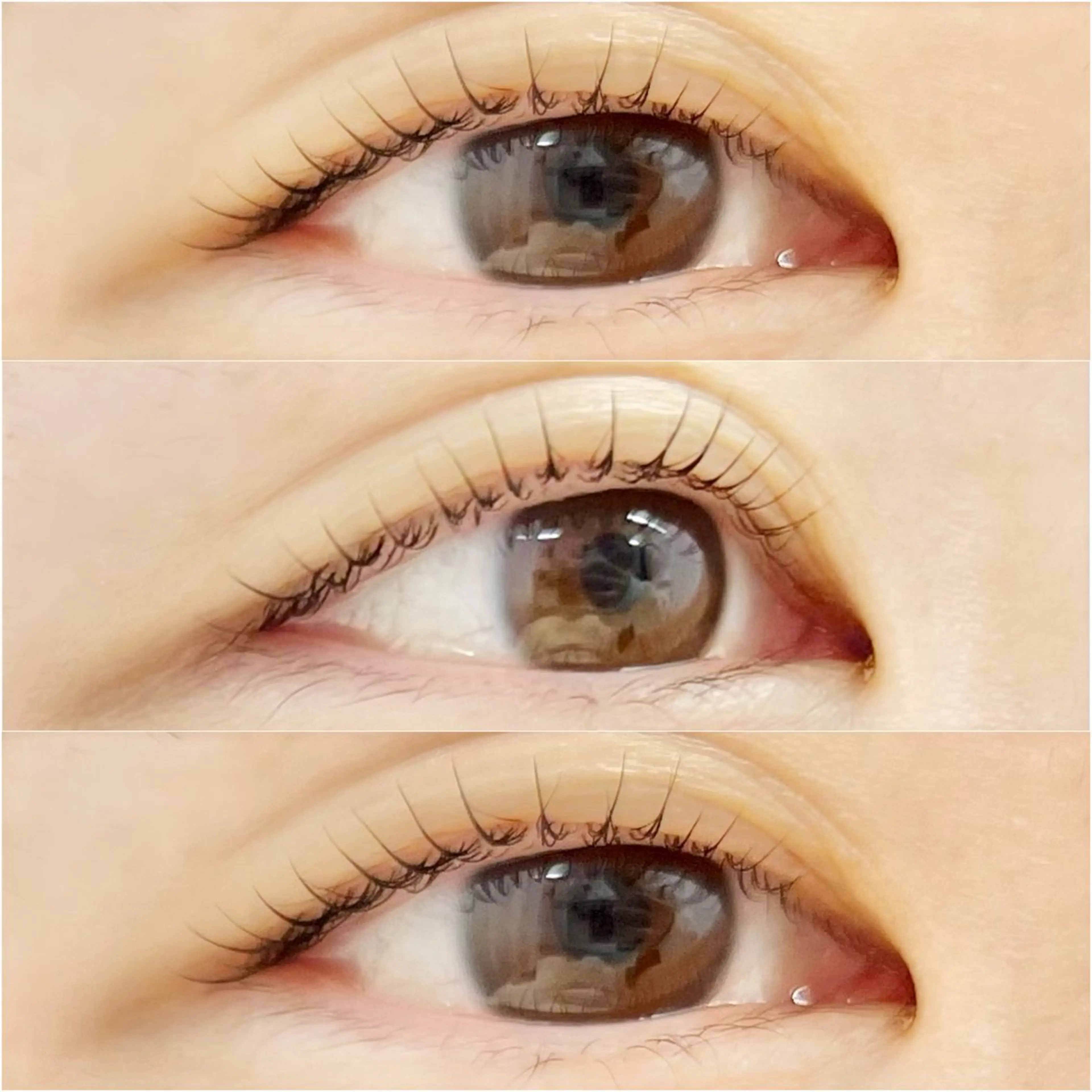 🔅メーテルカール+CT付🔅(オフなし)の写真