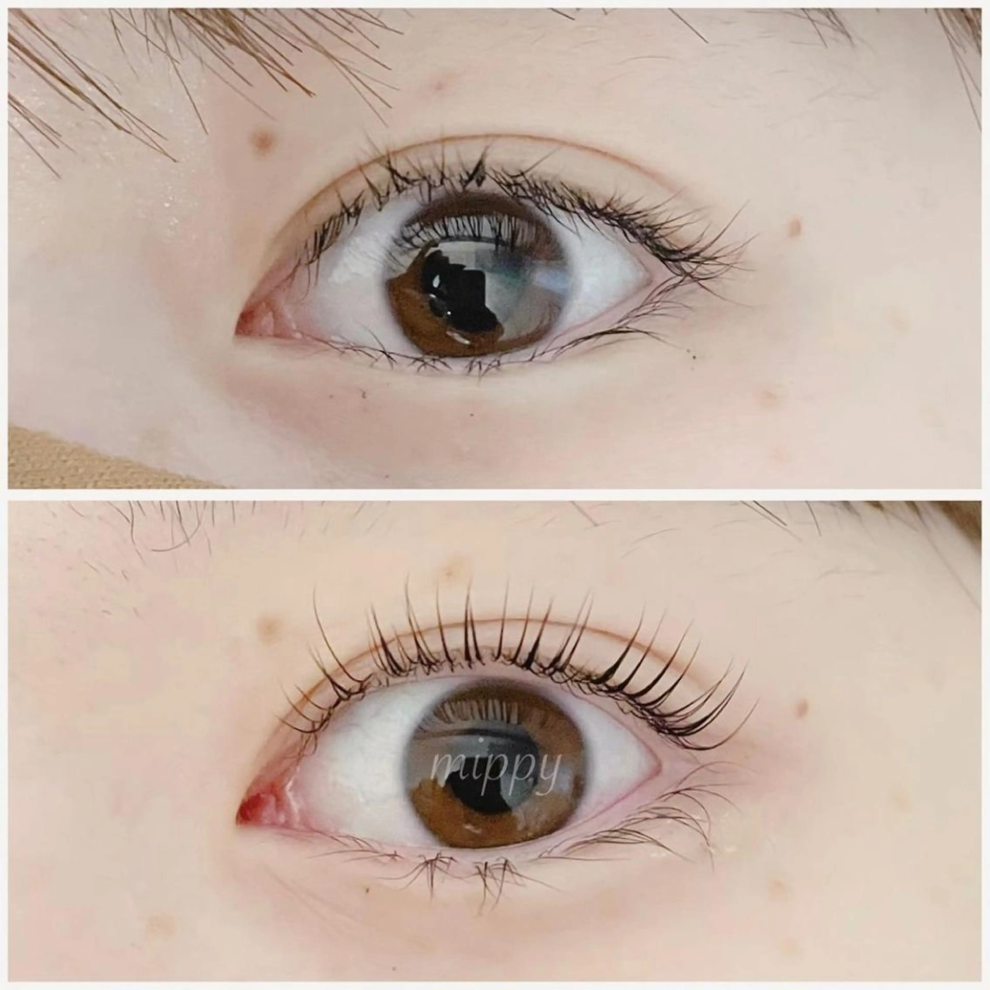 マツエク・マツパ パリジェンヌラッシュリフト ｍｉｐｐｙ 🪽のマツエク・マツパデザイン