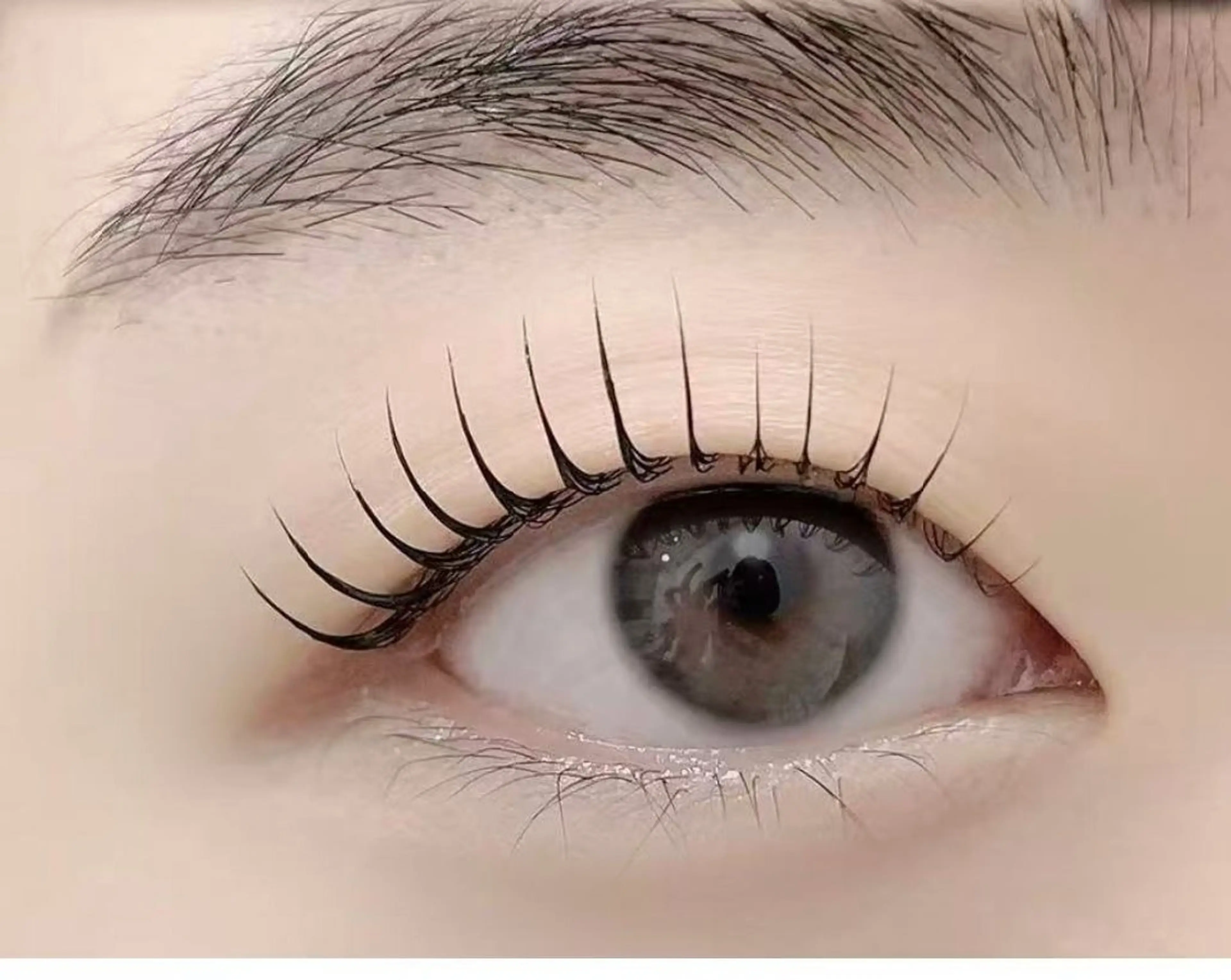 [新規様限定]ぱっちりパリジェンヌ🌷🩷の写真