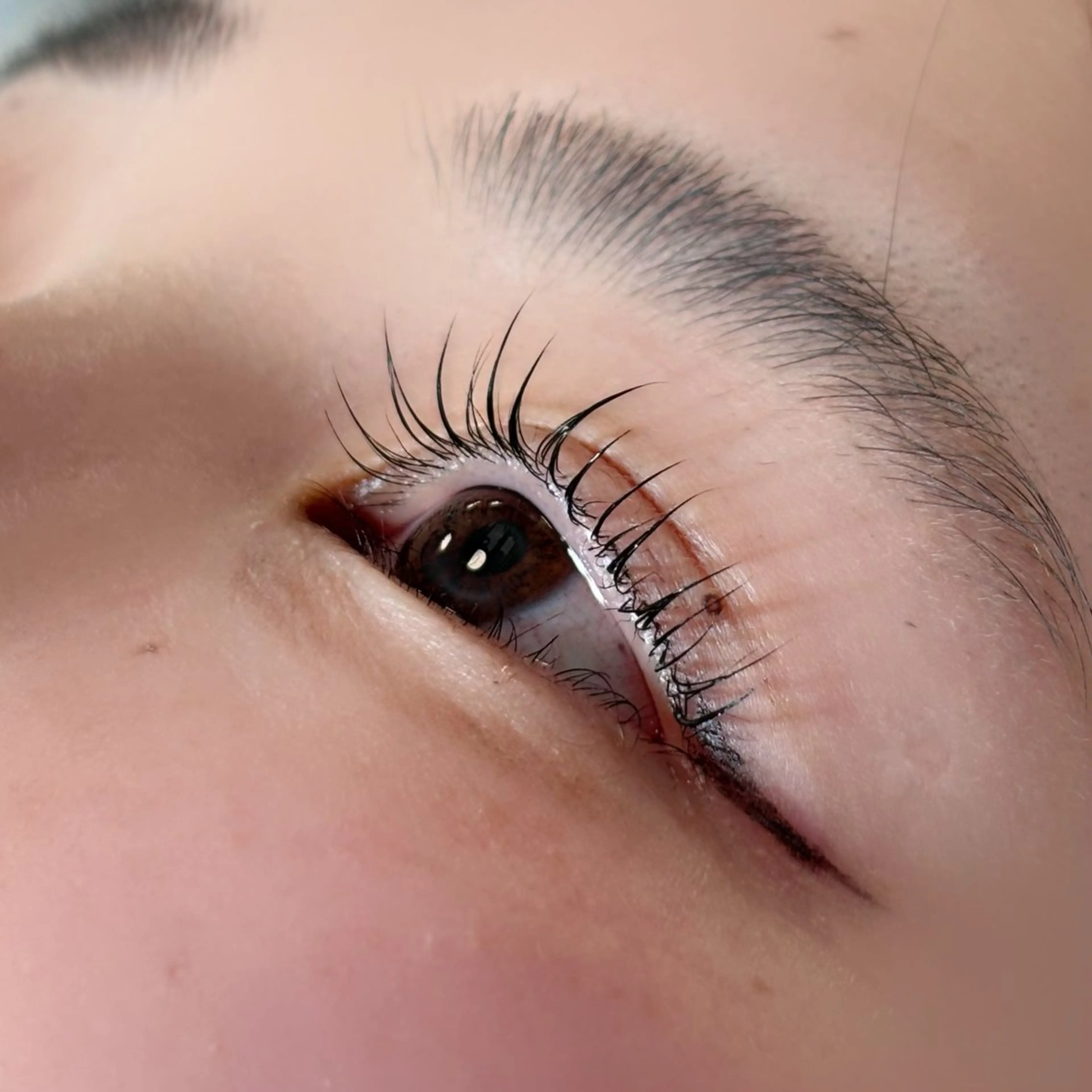 《平日13:00~16:00限定!!》王道！まつ毛パーマ🦋の写真