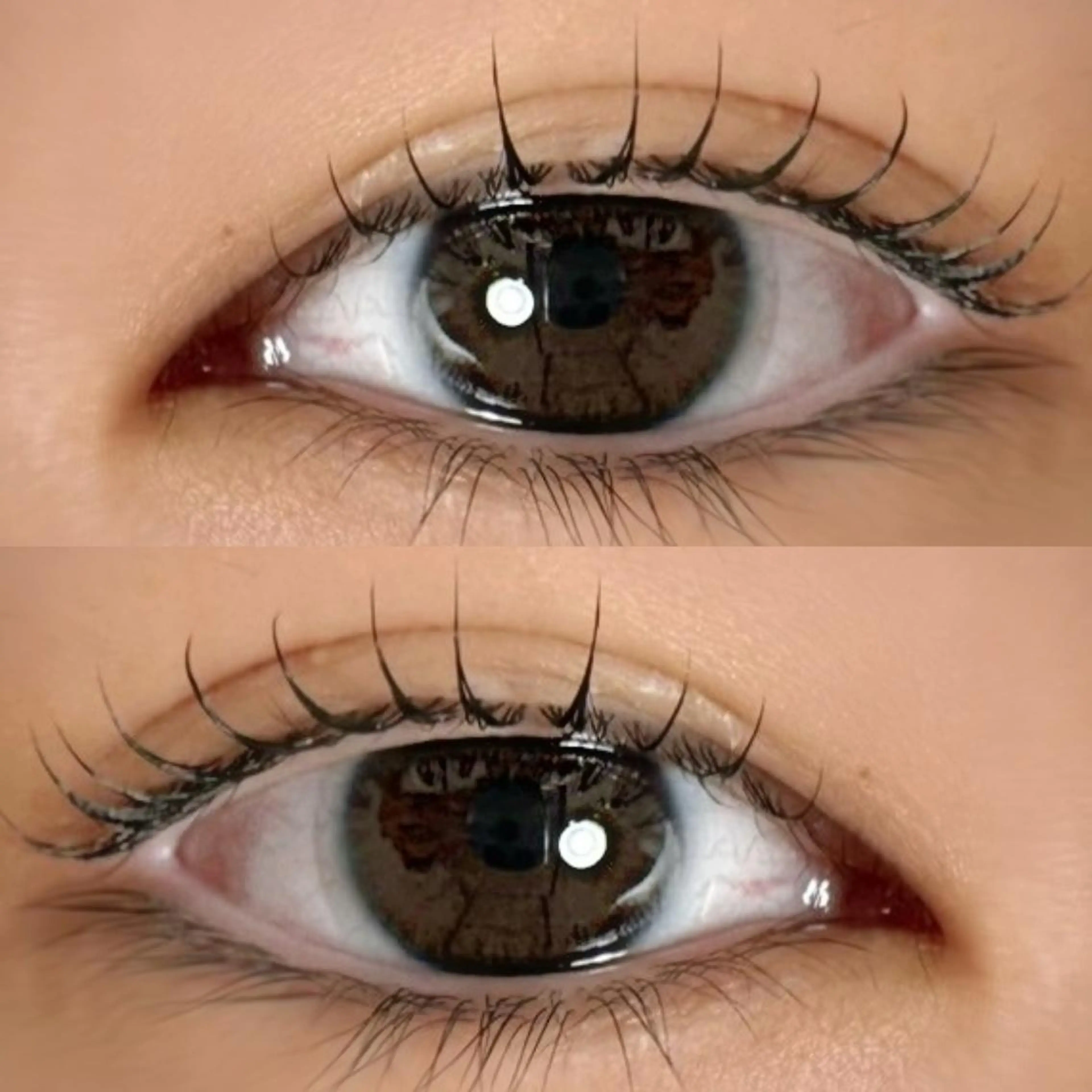 カールデザイン💖ラッシュリフト(まつ毛パーマ)🫧の写真