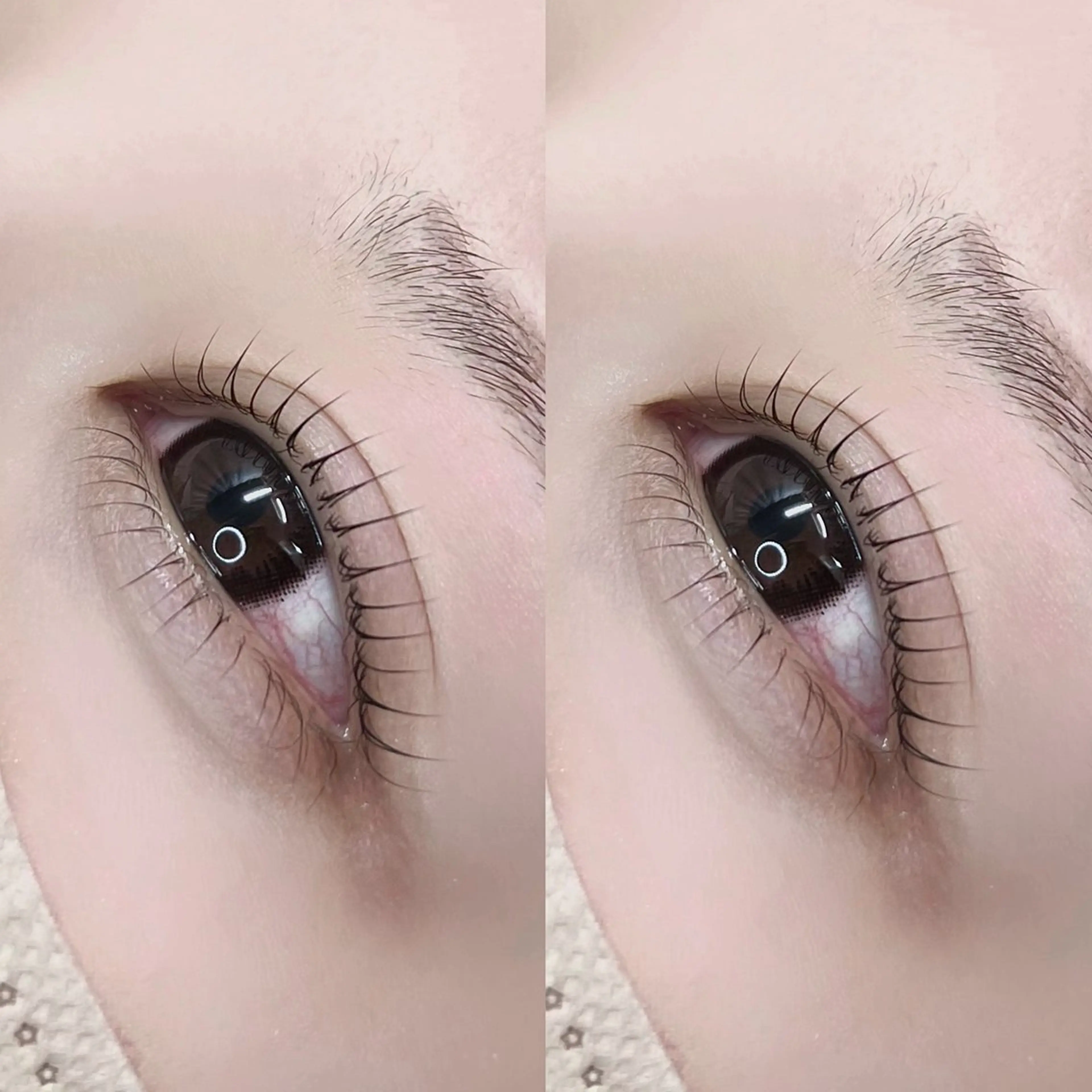 【新規／当日限定🤍】ラッシュリフト（上下セット）の写真