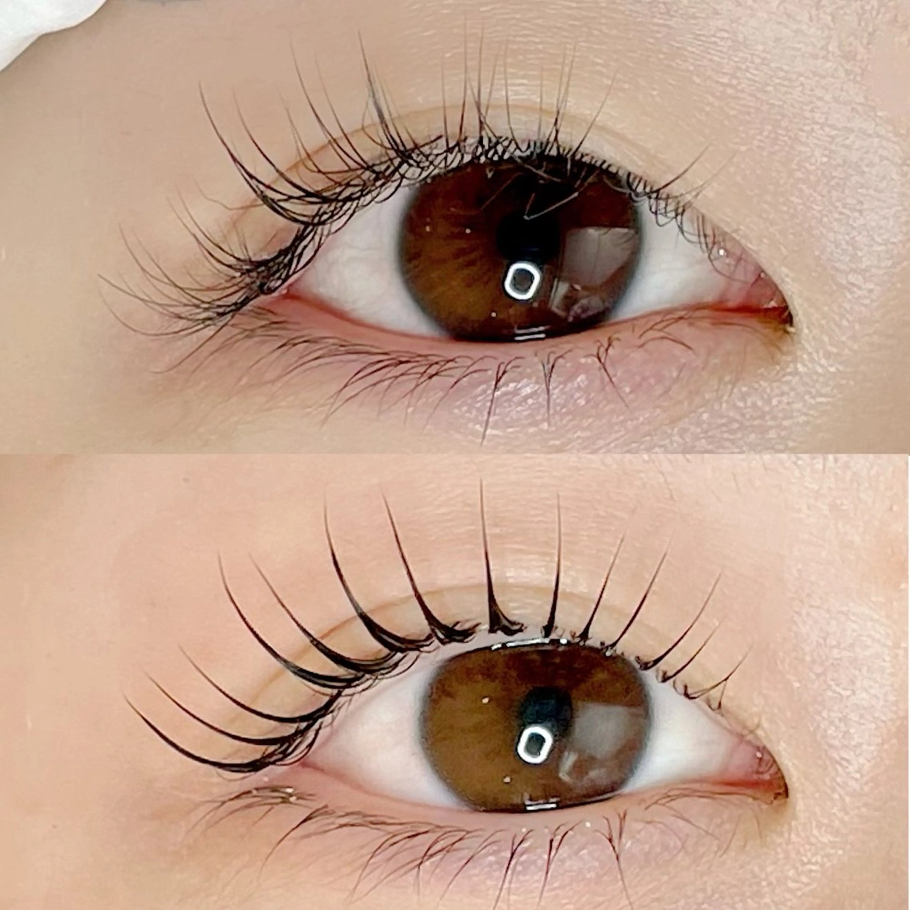 マツエク・マツパ マツパ AYLASH🧡 猪又のマツエク・マツパデザイン