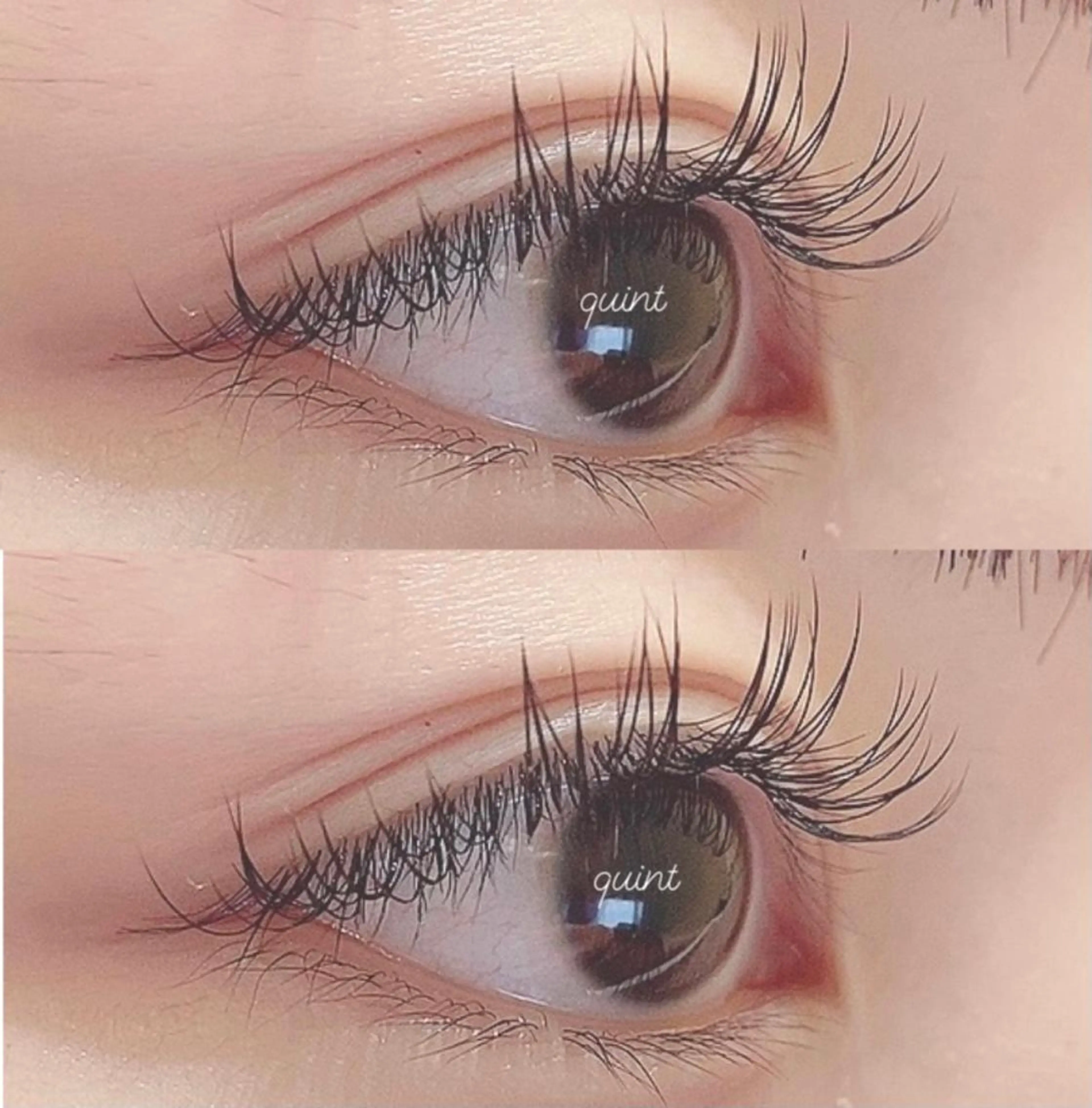 🌼セーブルorフラット120本までつけ放題🌼(仕上げコーティング美容液付)初回オフ無料🧴の写真