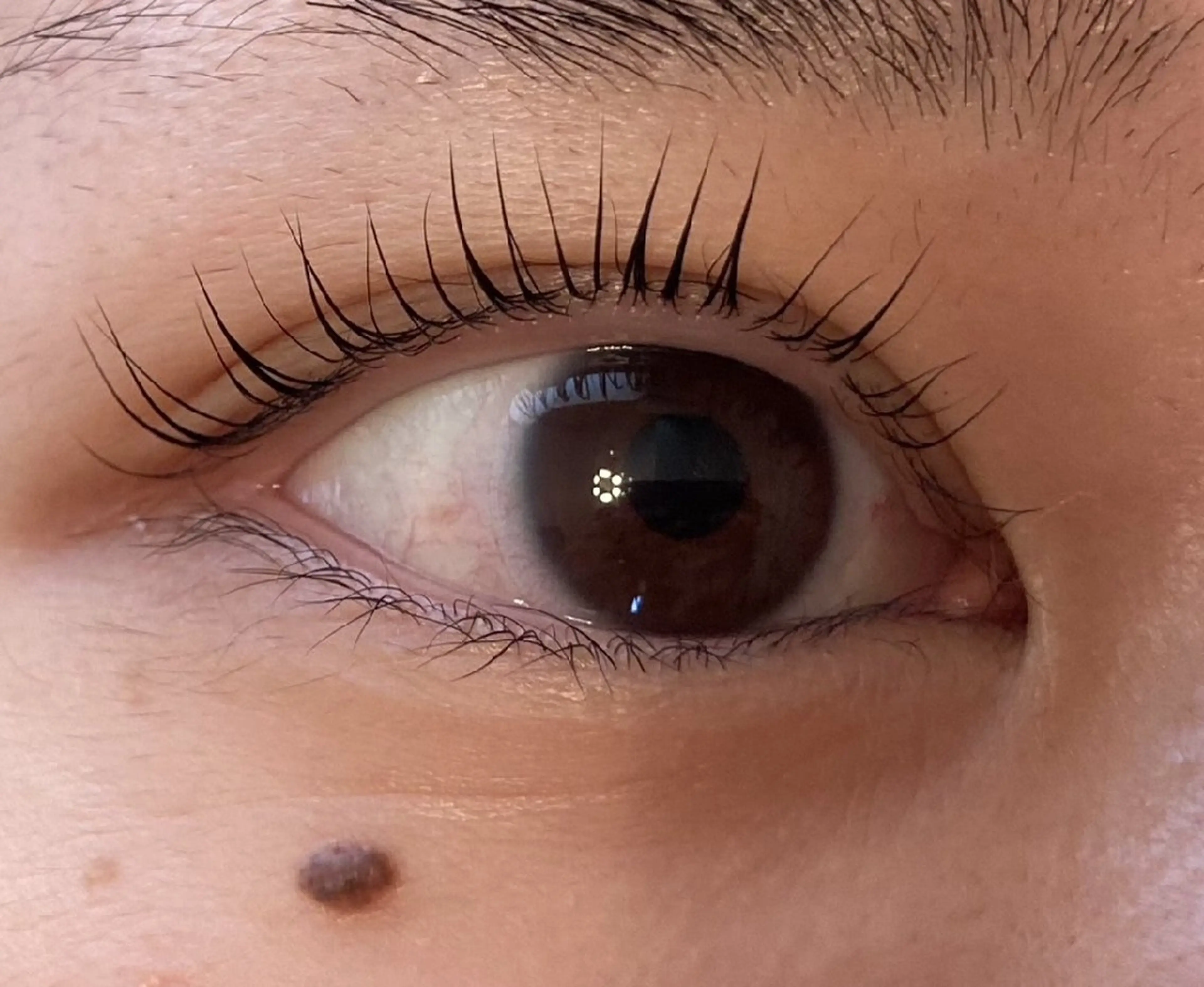 マツエク・マツパ まつげパーマ himawari Leiのマツエク・マツパデザイン