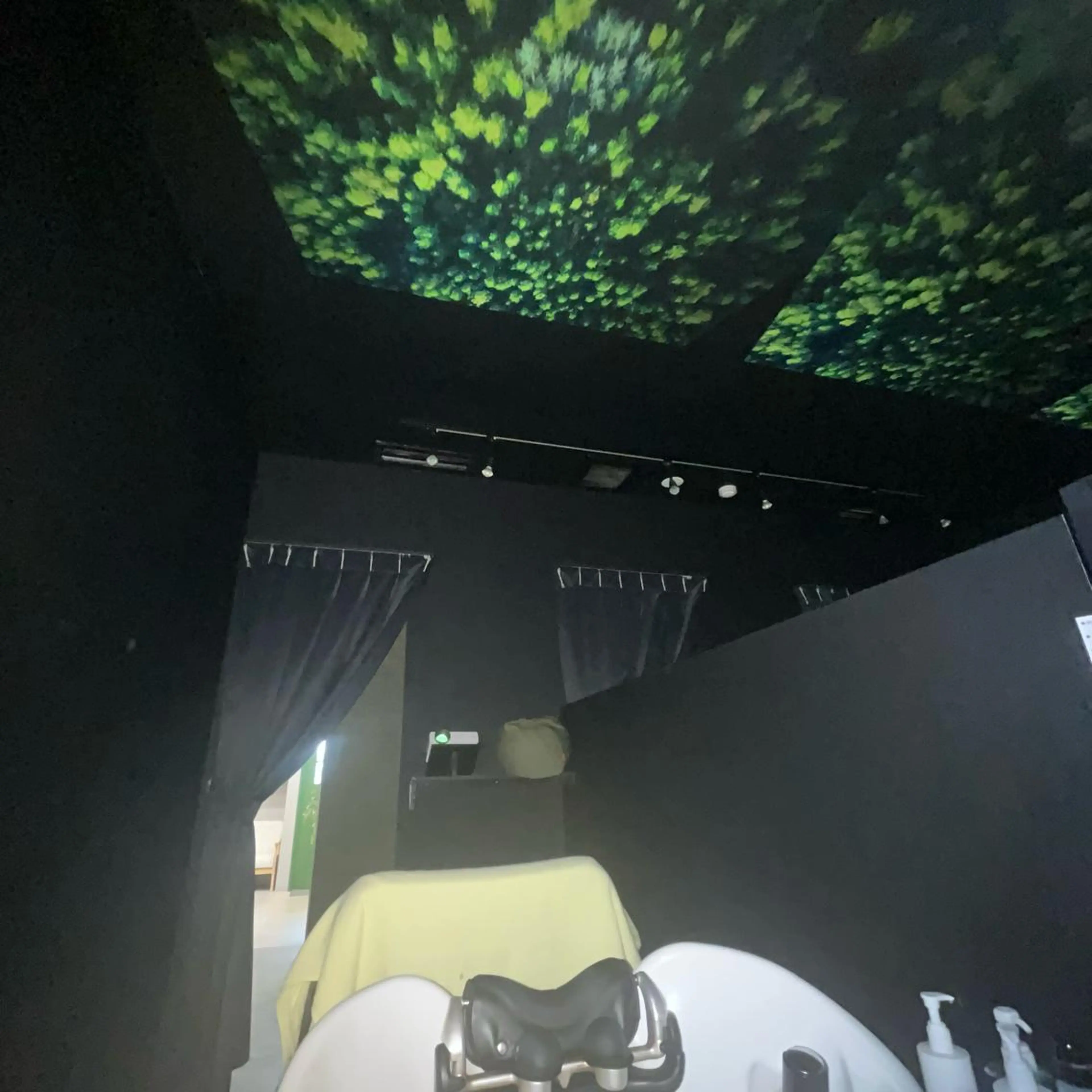 阪口 萌のヘアスタイル