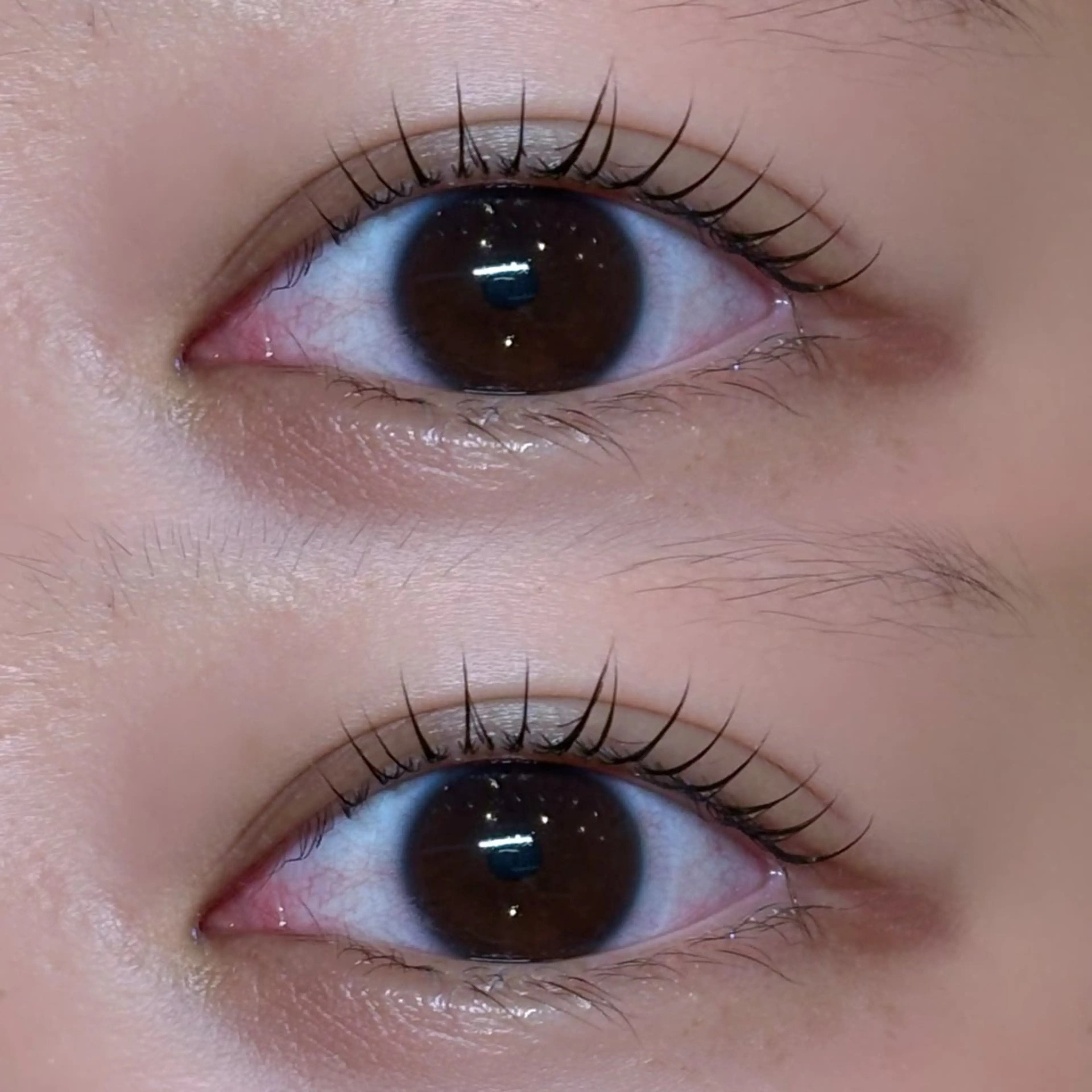 マツエク・マツパ マツエク miyu / sofa吉祥寺のマツエク・マツパデザイン