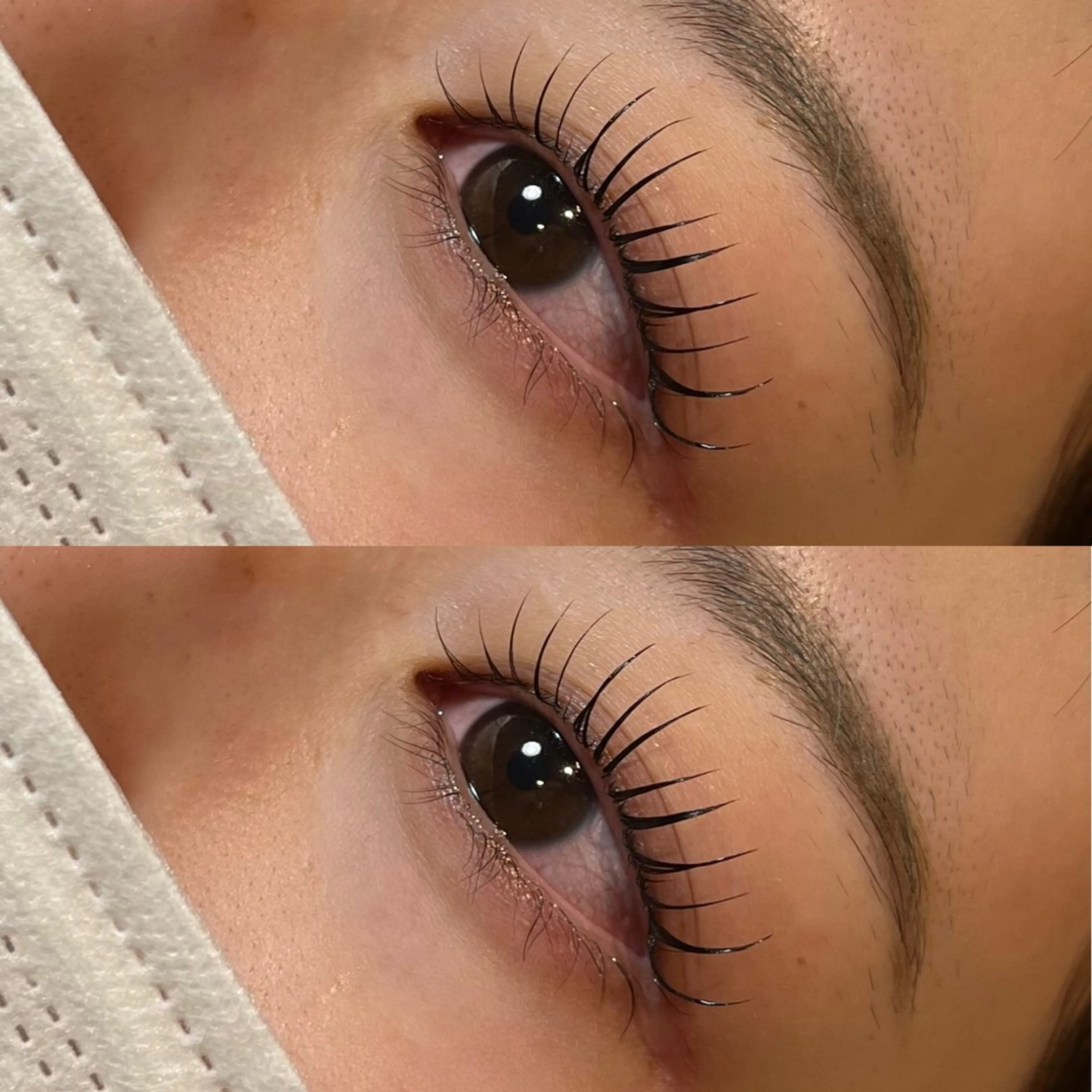 マツエク・マツパ 𝒆𝒊𝒈𝒉𝒕 杏花のマツエク・マツパデザイン